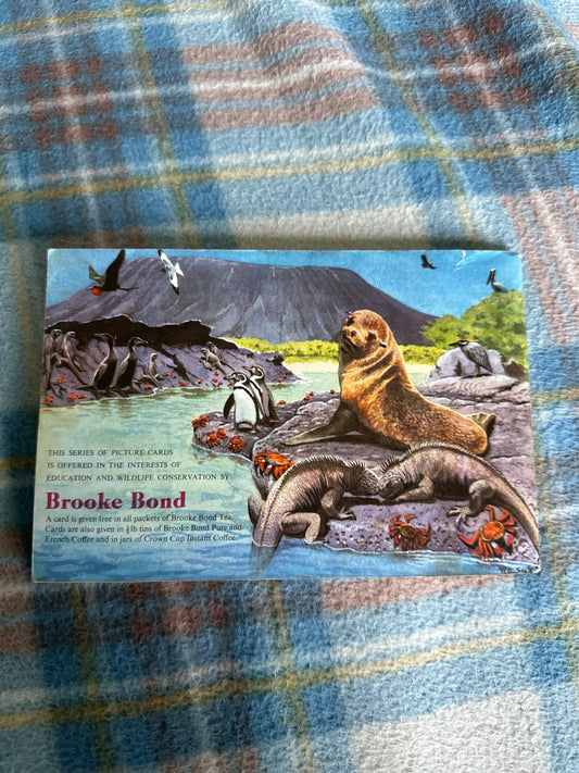 1960’s Wildlife In Danger - Peter Scott(Brooke Bond Teacards full set) - Honeyburn Books (UK)