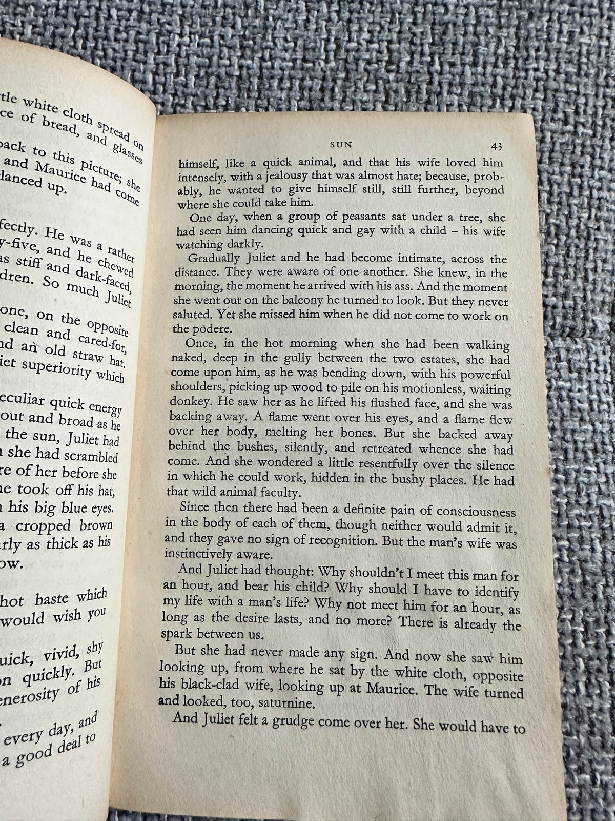 1951 The Woman Who Rode Away & Other Stories by D. H. Lawrence (Penguin) - Honeyburn Books (UK)