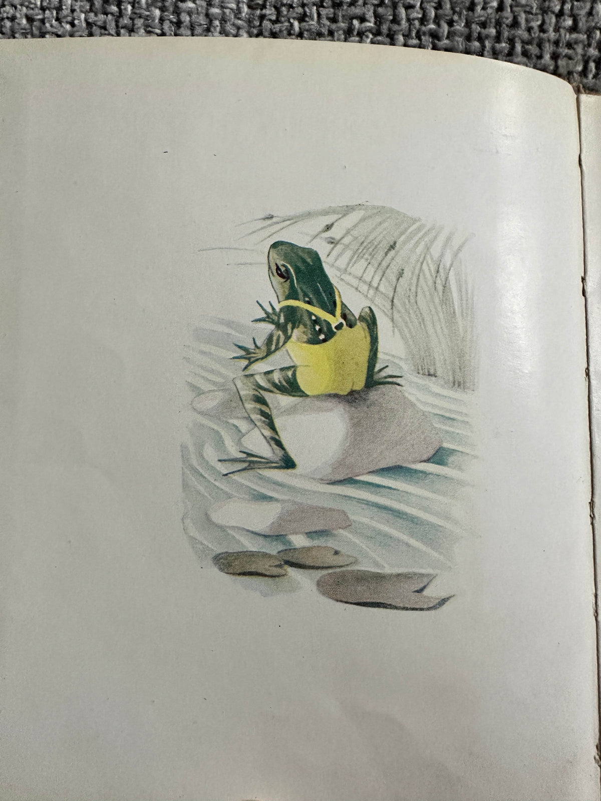 1948*1st* Flip Frog’s New Jumper - Dorothy Richards(Elsie Thomas Illust)Faber & Faber - Honeyburn Books (UK)