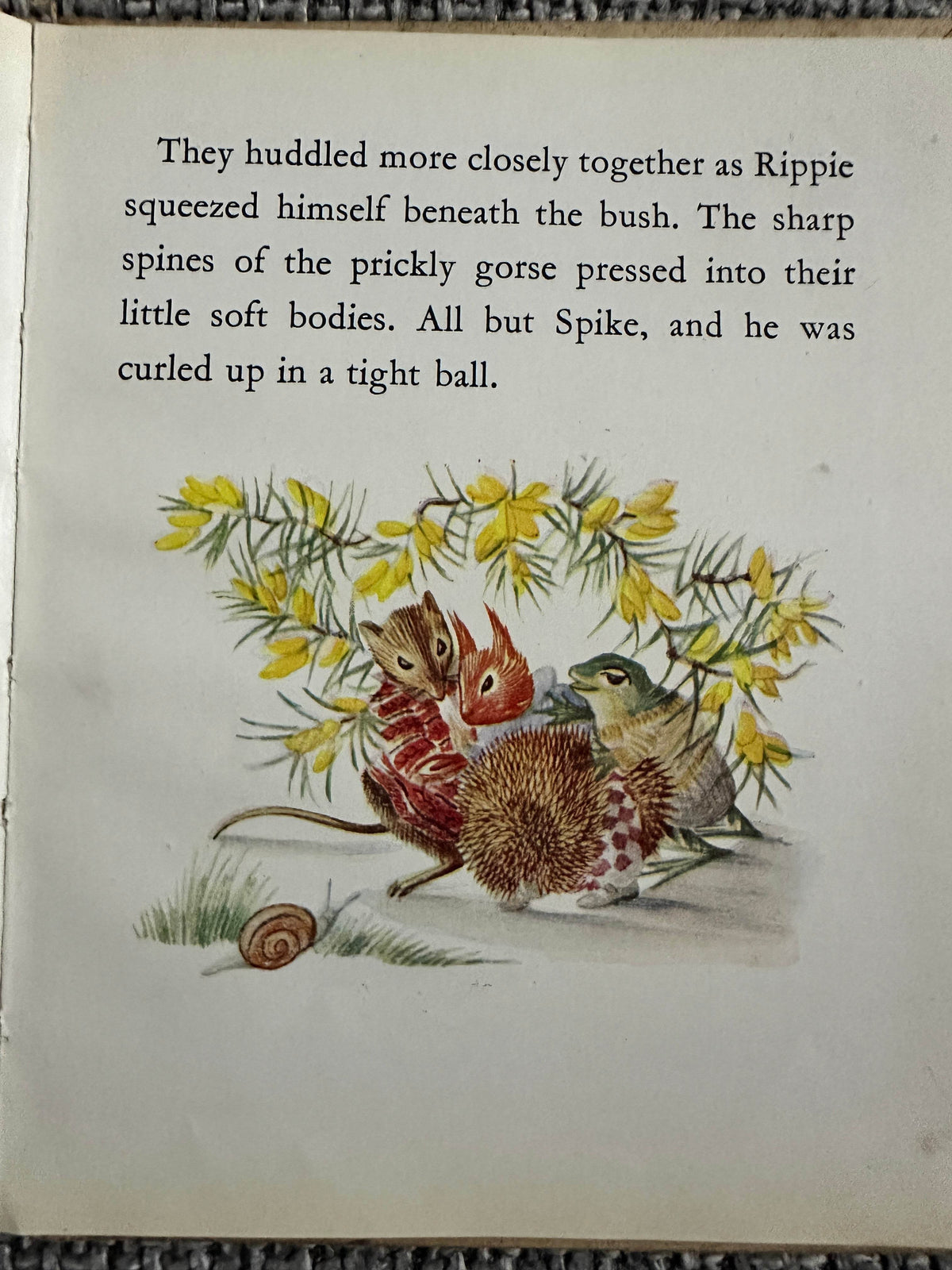 1948*1st* Flip Frog’s New Jumper - Dorothy Richards(Elsie Thomas Illust)Faber & Faber - Honeyburn Books (UK)