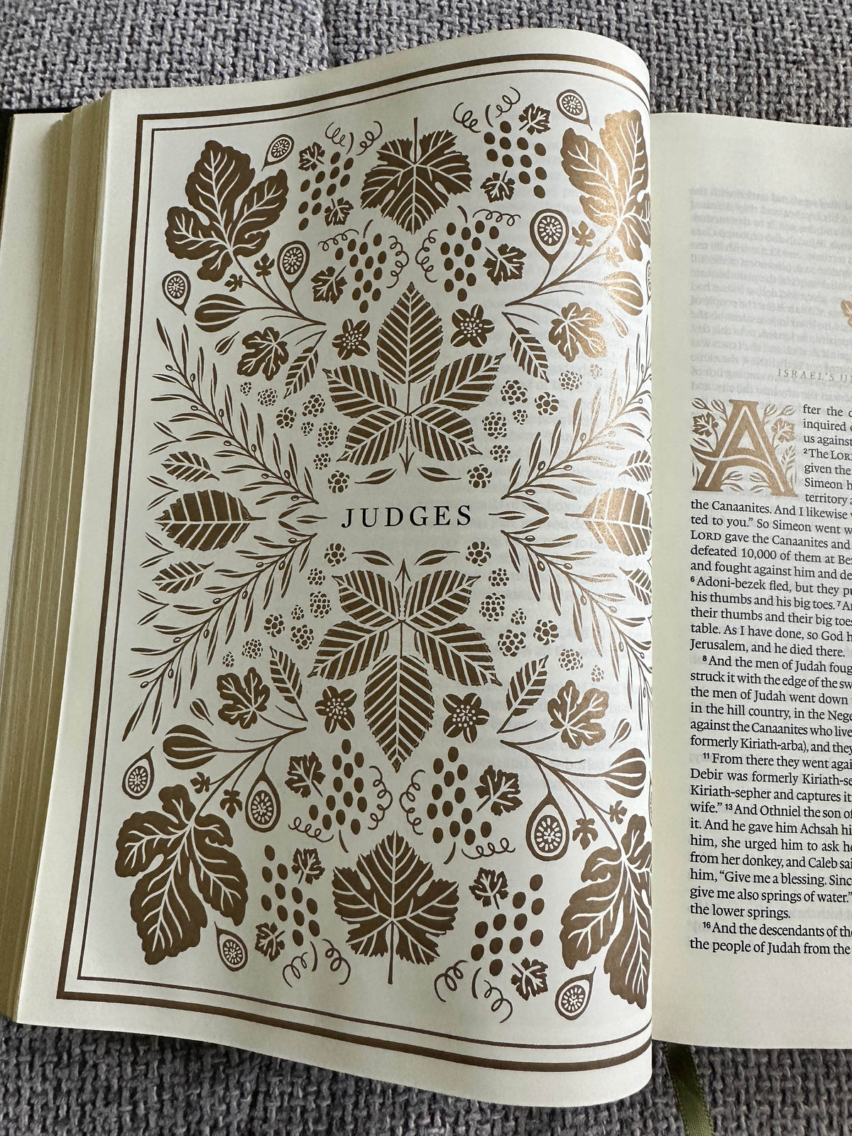 2016 ESV Illuminated Bible (Art Tourling Edition) Dana Tanamachi artwork. Crossways Publisher. - Honeyburn Books (UK)