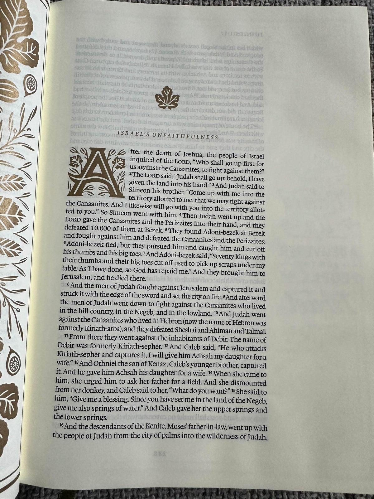 2016 ESV Illuminated Bible (Art Tourling Edition) Dana Tanamachi artwork. Crossways Publisher. - Honeyburn Books (UK)