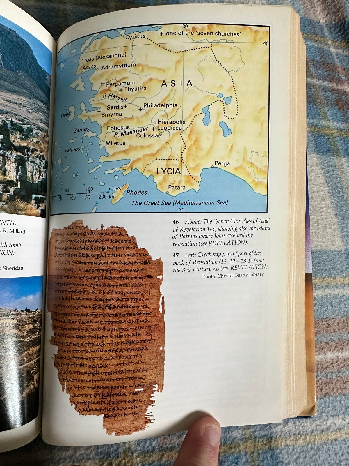 1989 New Concise Bible Dictionary - Inter-Varsity Press - Honeyburn Books (UK)