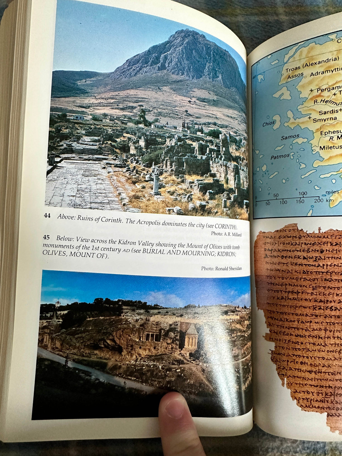 1989 New Concise Bible Dictionary - Inter-Varsity Press - Honeyburn Books (UK)