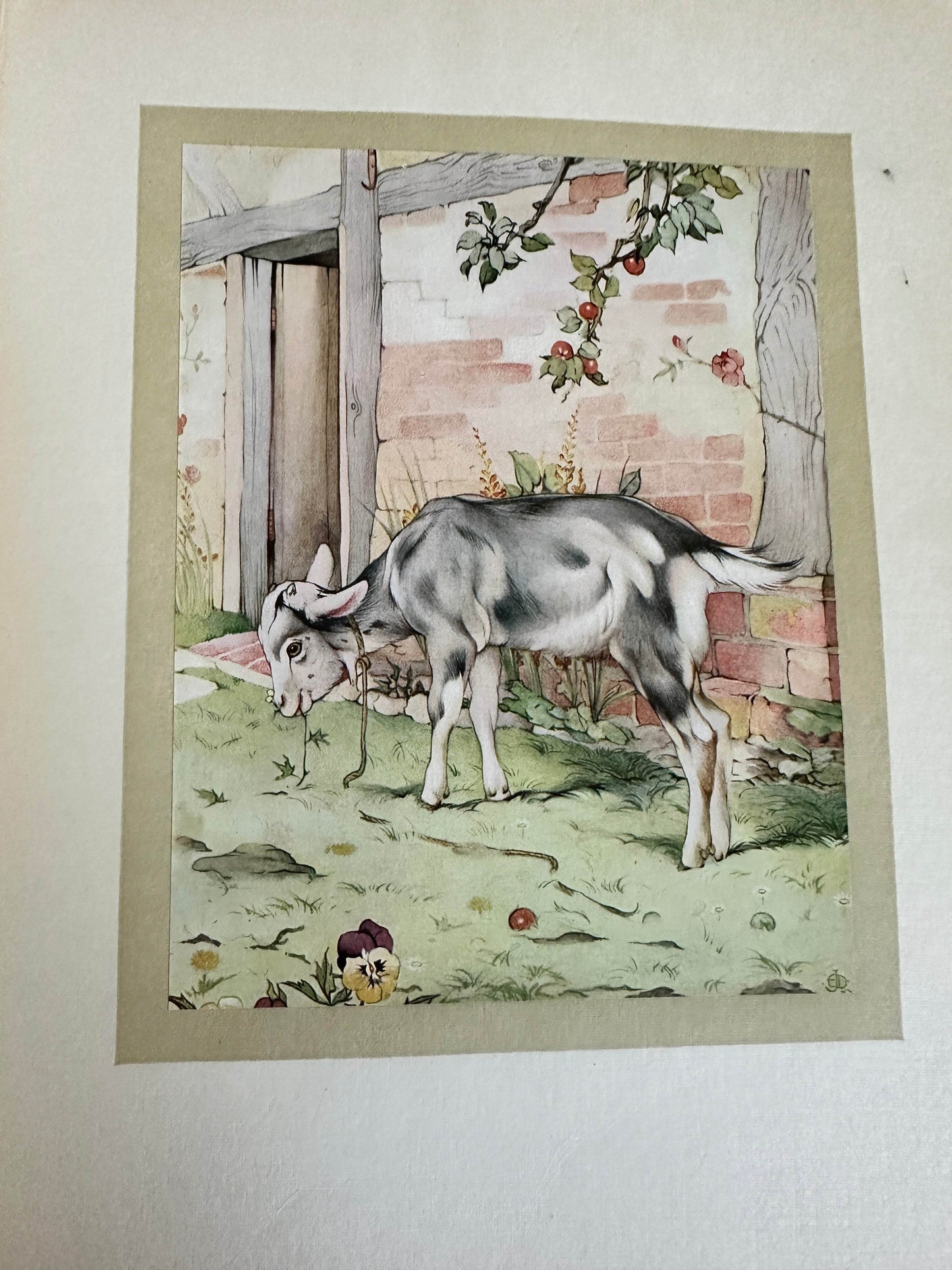 1945 Our Little Neighbours - C. J. Caberry(Edward Julius Detmold illustration) Humphrey Milford - Honeyburn Books (UK)