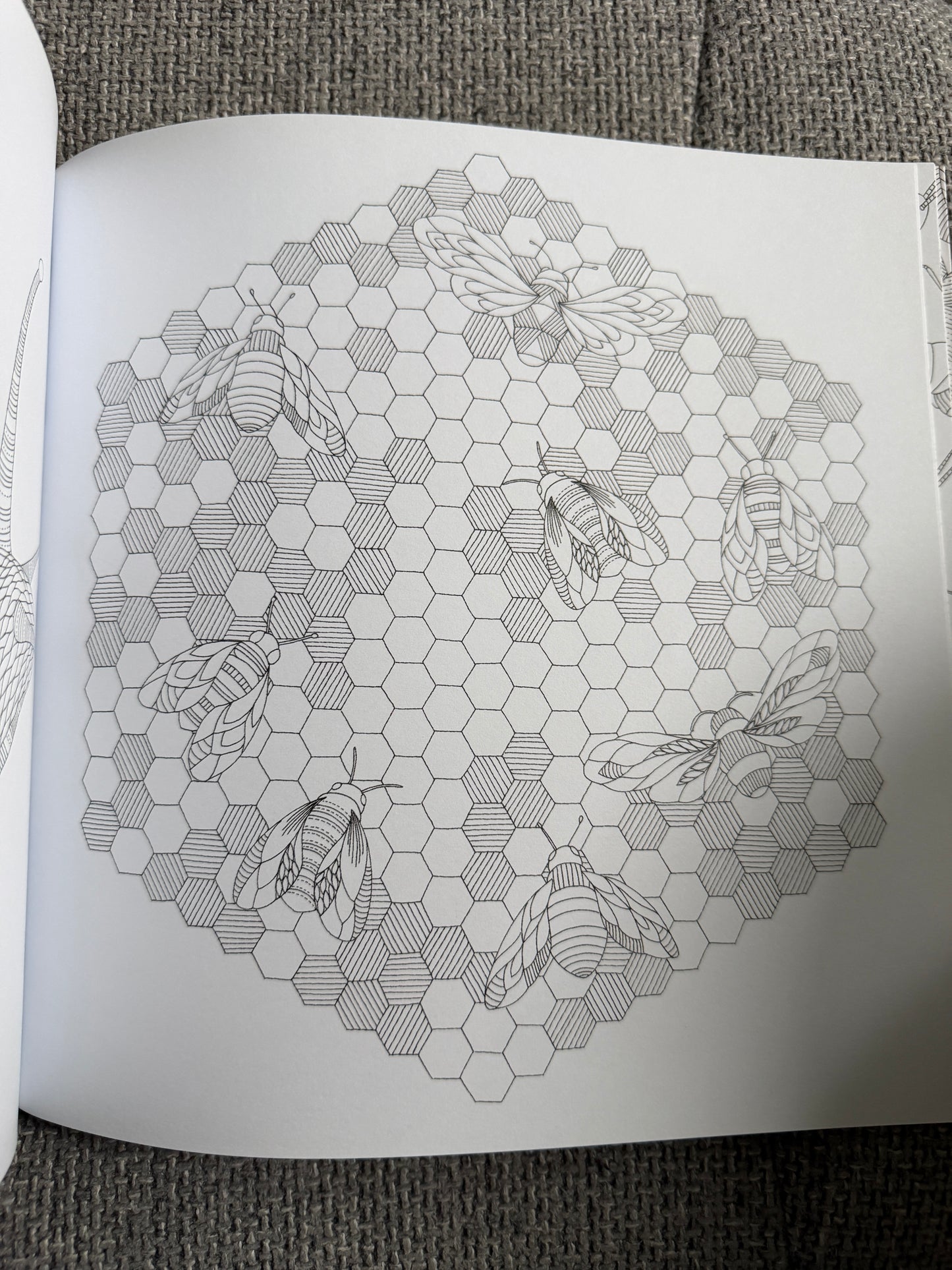 2014 Millie Marotta’s Animal Kingdom A Colouring Book Adventure (As new) Batsford