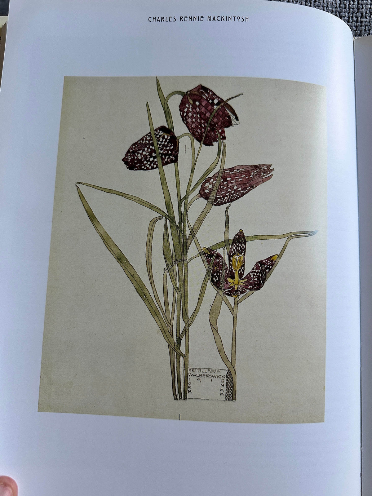 2000*1st* Charles Rennie Mackintosh Architect, Artist, Icon - John McKean & Colin Baxter(Lomond Books) - Honeyburn Books (UK)