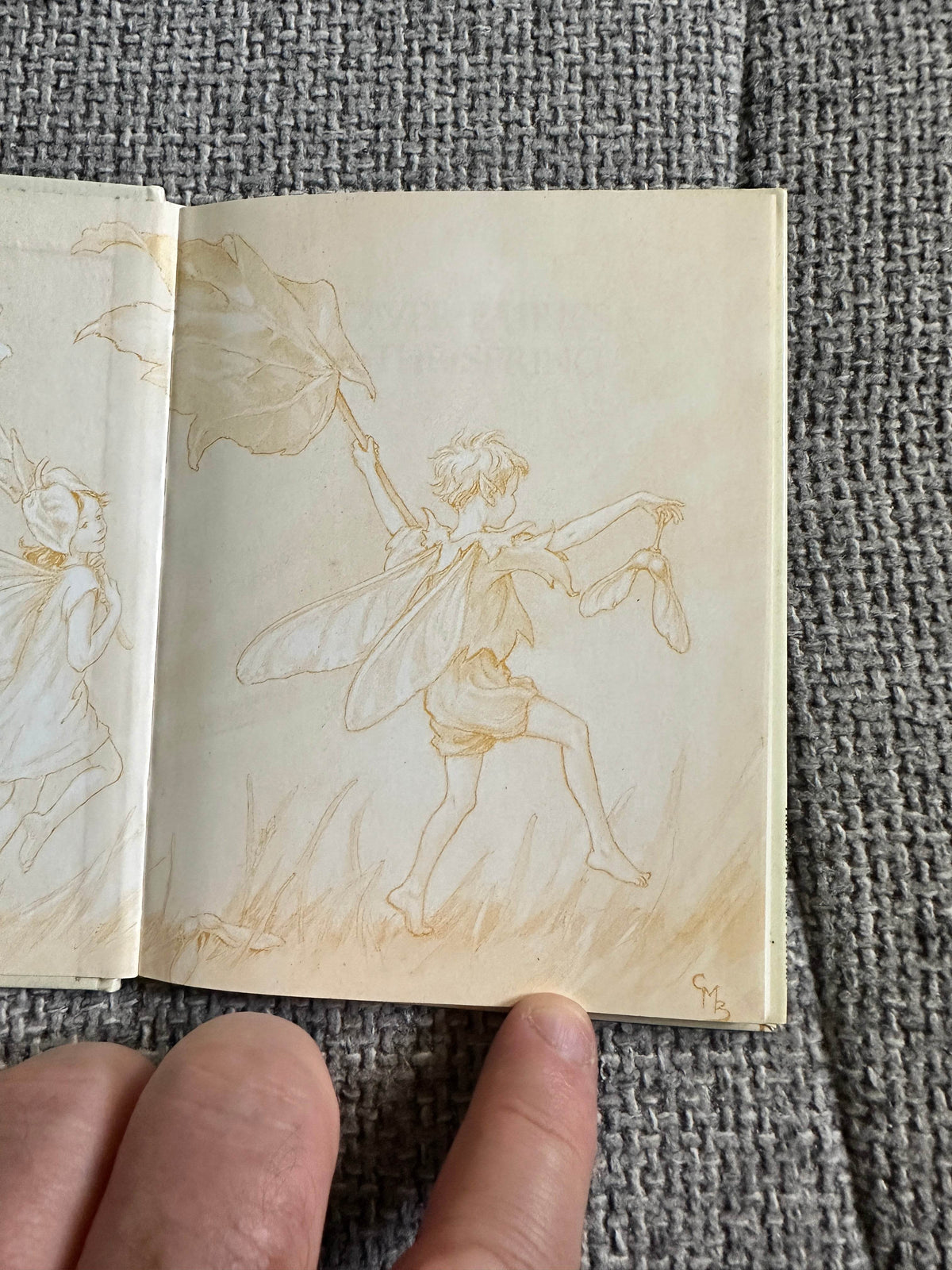 1990 Flower Fairies Of The Spring - Cicely Mary Barker ( Frederick Warne & Co Ltd) - Honeyburn Books (UK)