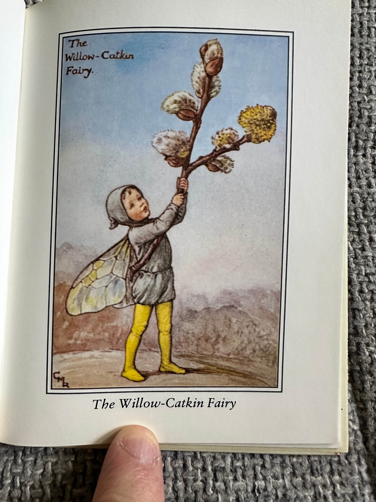 1990 Flower Fairies Of The Spring - Cicely Mary Barker ( Frederick Warne & Co Ltd) - Honeyburn Books (UK)
