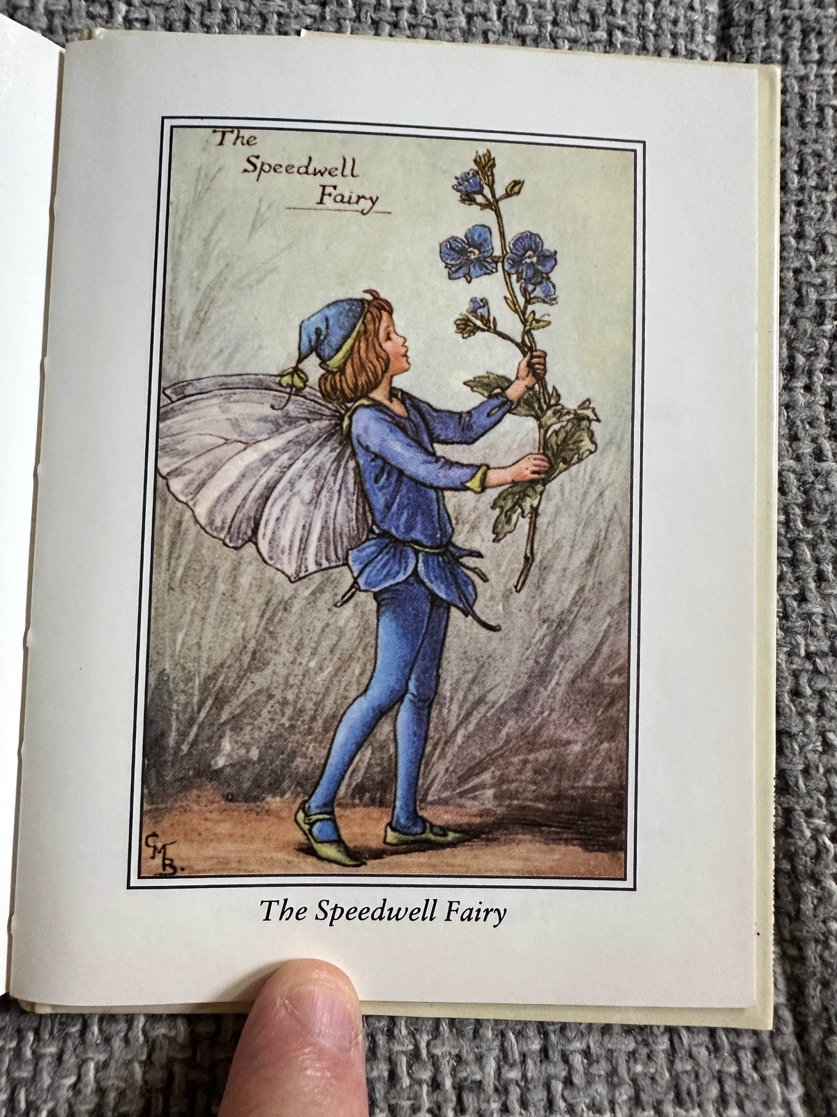 1990 Flower Fairies Of The Spring - Cicely Mary Barker ( Frederick Warne & Co Ltd) - Honeyburn Books (UK)