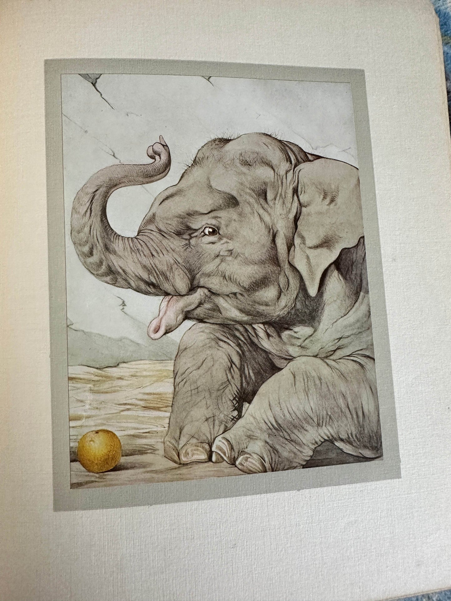 1918circa The Book Of Baby Pets - Florence E. Dugdale(Edward Julius Detmold illustration) Henry Frowde Publisher - Honeyburn Books (UK)