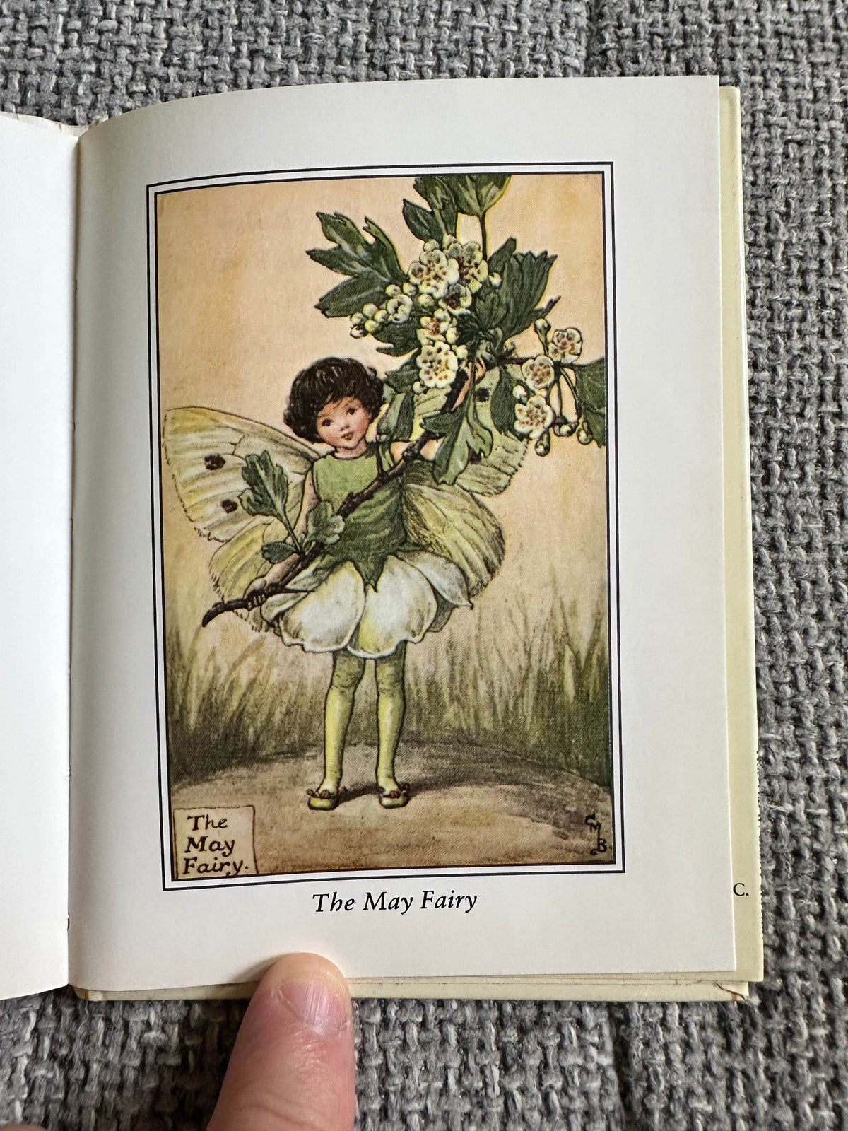 1990 Flower Fairies Of The Spring - Cicely Mary Barker ( Frederick Warne & Co Ltd) - Honeyburn Books (UK)