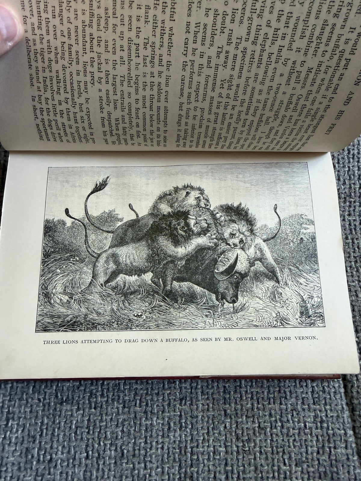 1912 First Expedition To Africa- David Livingstone (John Murray)