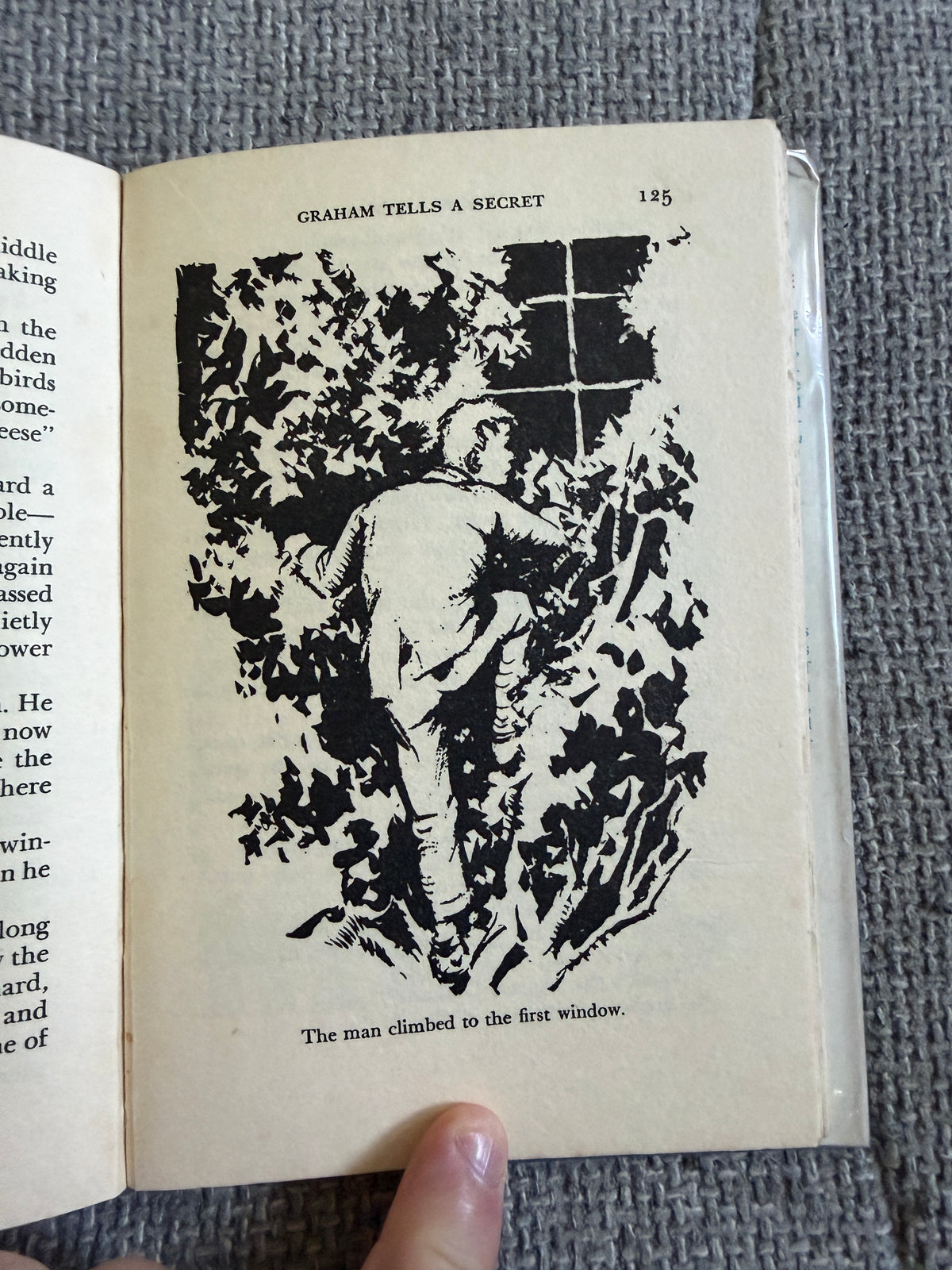 1955*1st* Holiday House - Enid Blyton (Grace Lodge illust) Evans Bros.
