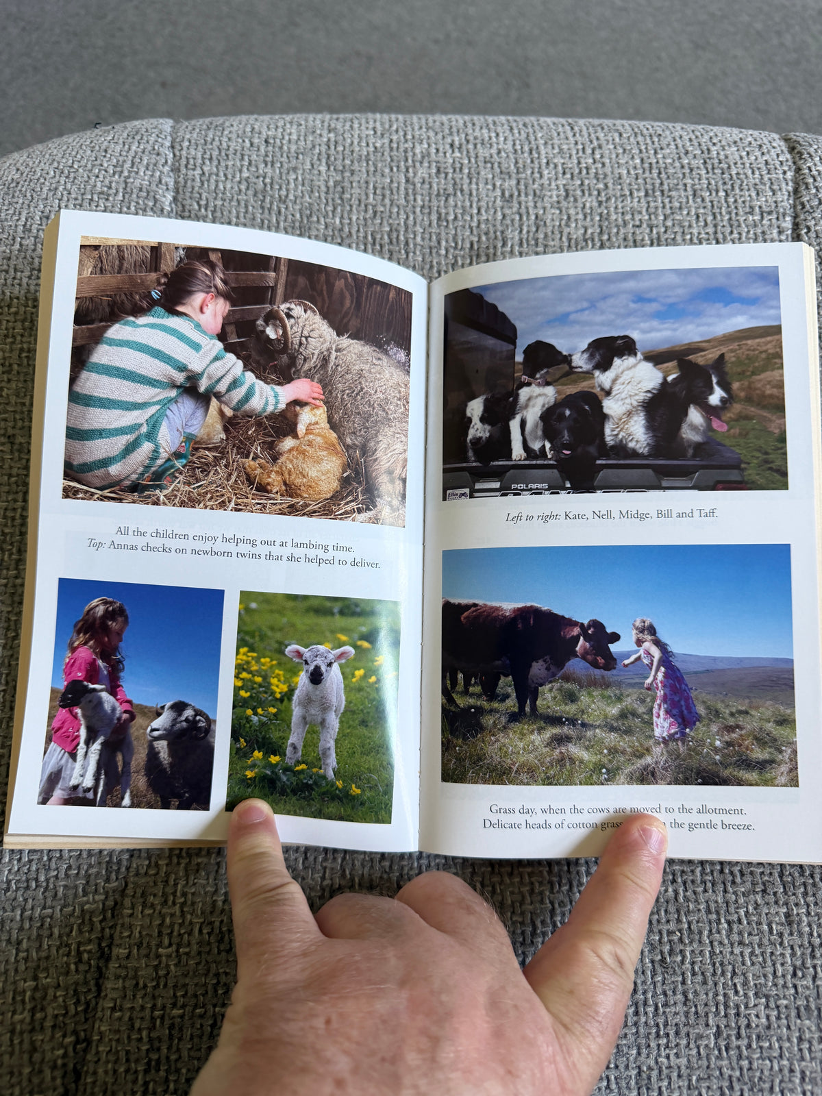 2022 The Yorkshire Shepherdess (Celebrating The Seasons) Amanda Owen (Pan Books)