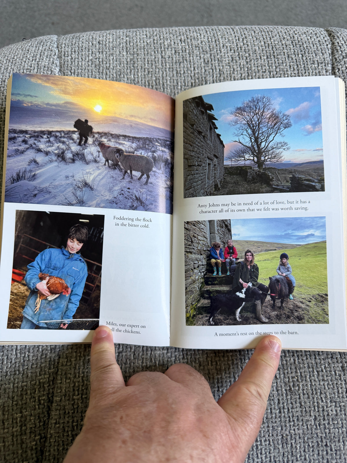2022 The Yorkshire Shepherdess (Celebrating The Seasons) Amanda Owen (Pan Books)