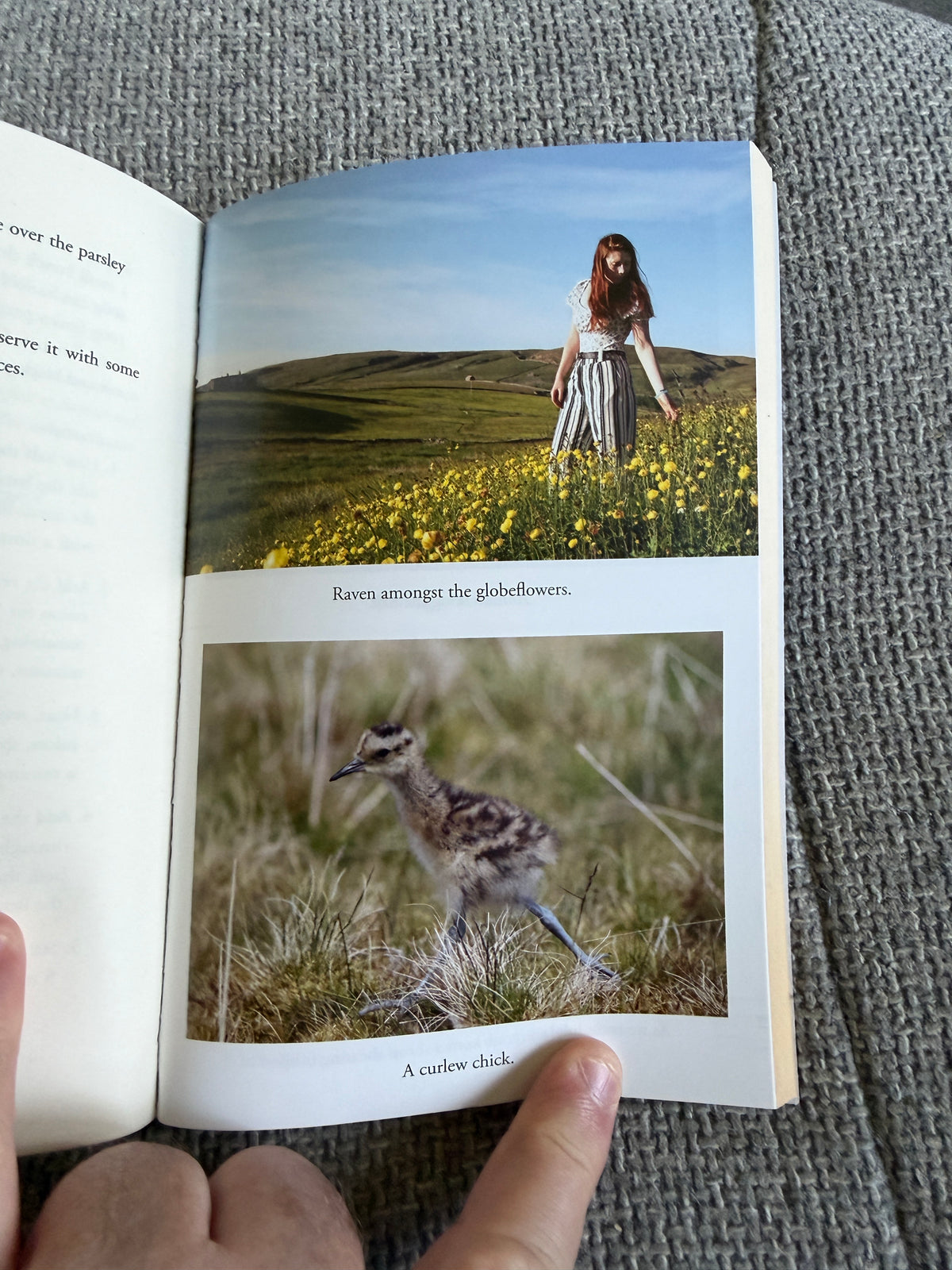 2022 The Yorkshire Shepherdess (Celebrating The Seasons) Amanda Owen (Pan Books)