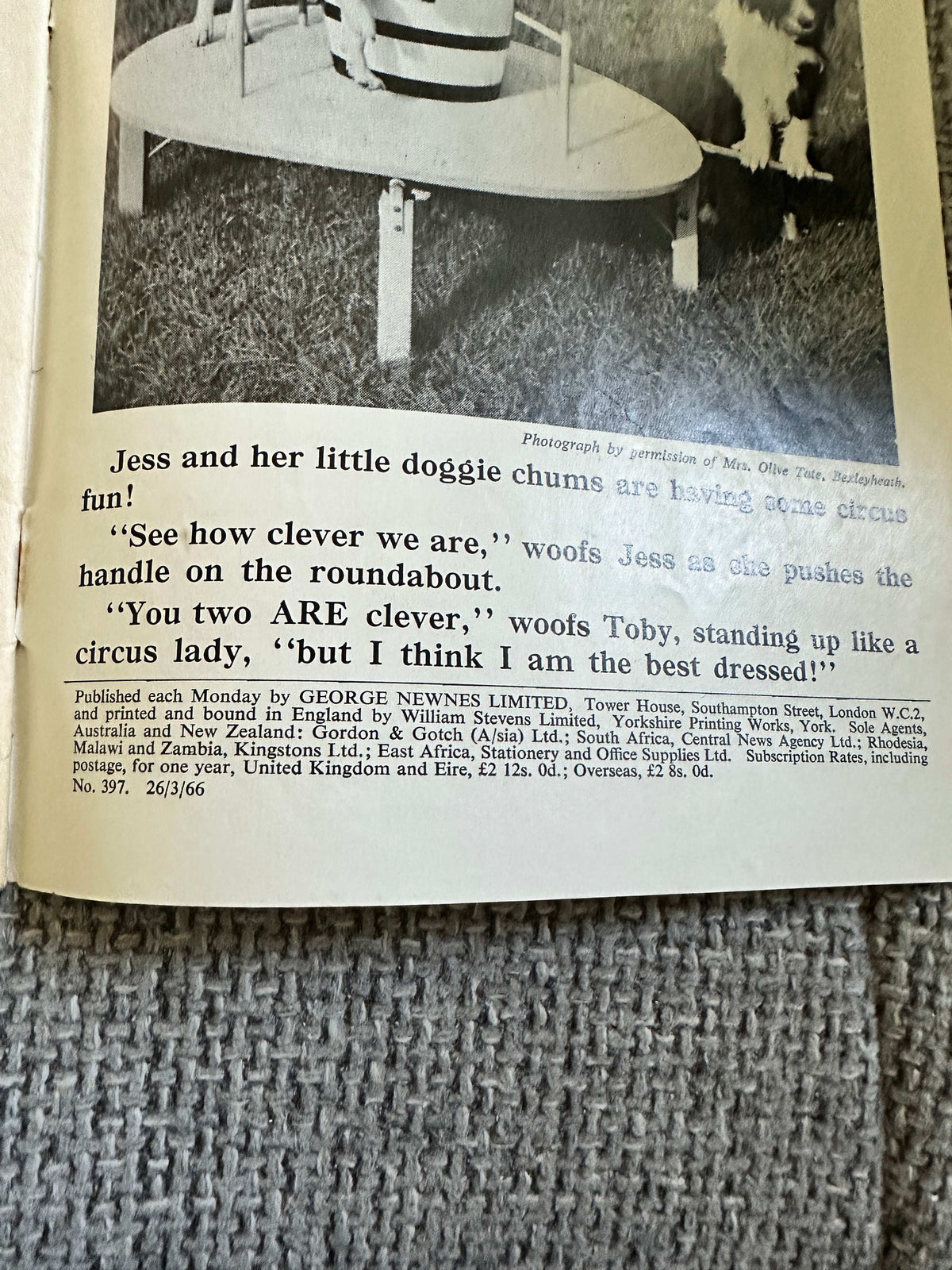 1966 Sunny Stories(No397) Daffy Duckling (George Newnes Ltd Publisher) - Honeyburn Books (UK)