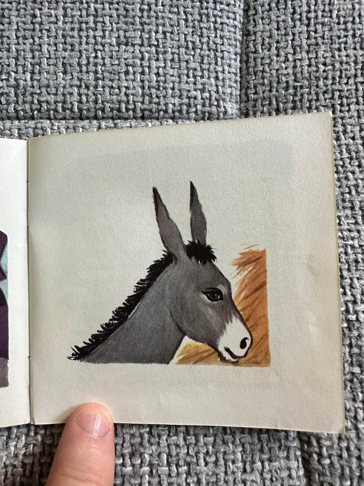 1950’s The Little Donkey A Mini Book(Brown Watson) - Honeyburn Books (UK)