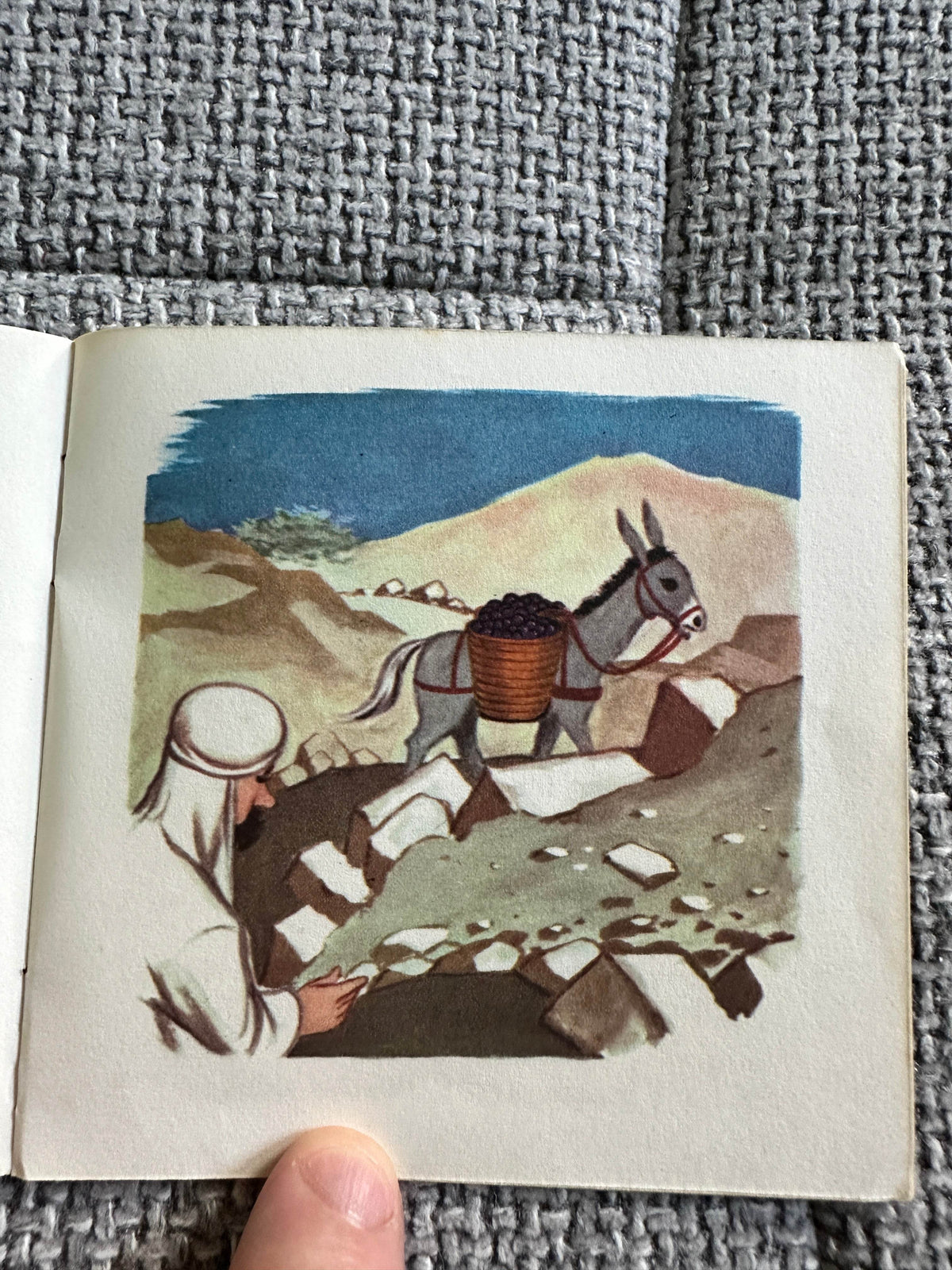 1950’s The Little Donkey A Mini Book(Brown Watson) - Honeyburn Books (UK)