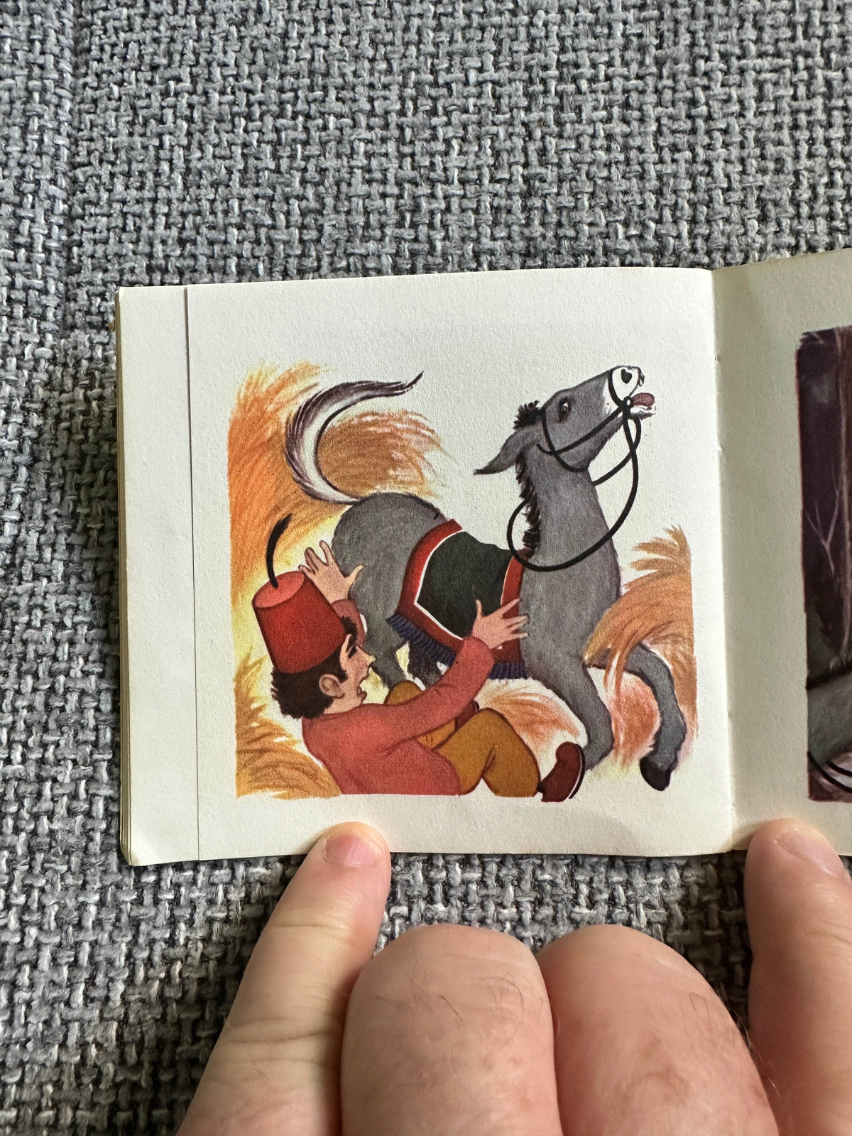 1950’s The Little Donkey A Mini Book(Brown Watson) - Honeyburn Books (UK)