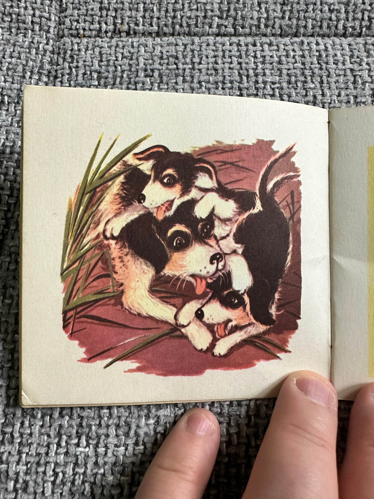 1950’s Caroline The Dog A Mini Book(Brown Watson) - Honeyburn Books (UK)