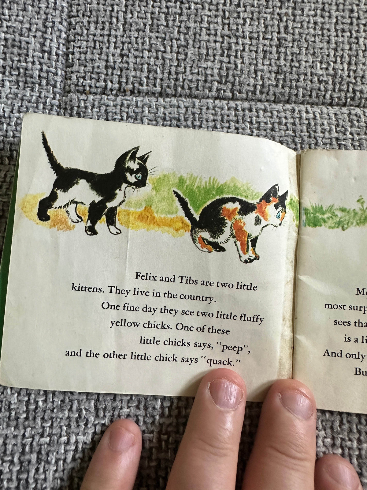 1963 Peep & Quack(Series One 251 Handy Book)Maggy Larissa(Nans Van Leeuwen Illust) Bancroft & Co Ltd - Honeyburn Books (UK)