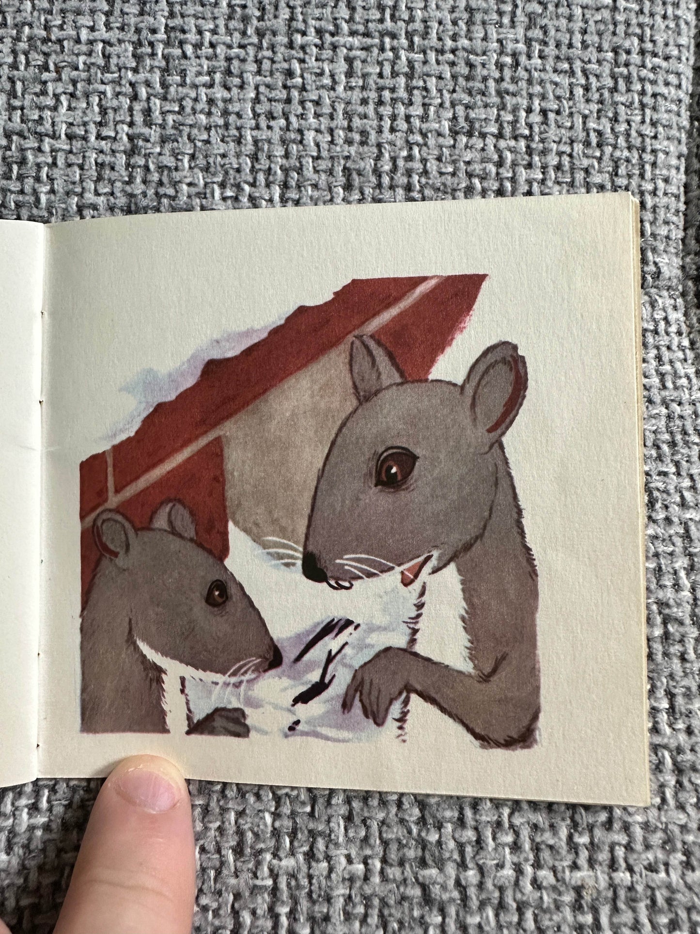 1950’s The Mouse Family A Mini Book (Brown Watson published) - Honeyburn Books (UK)