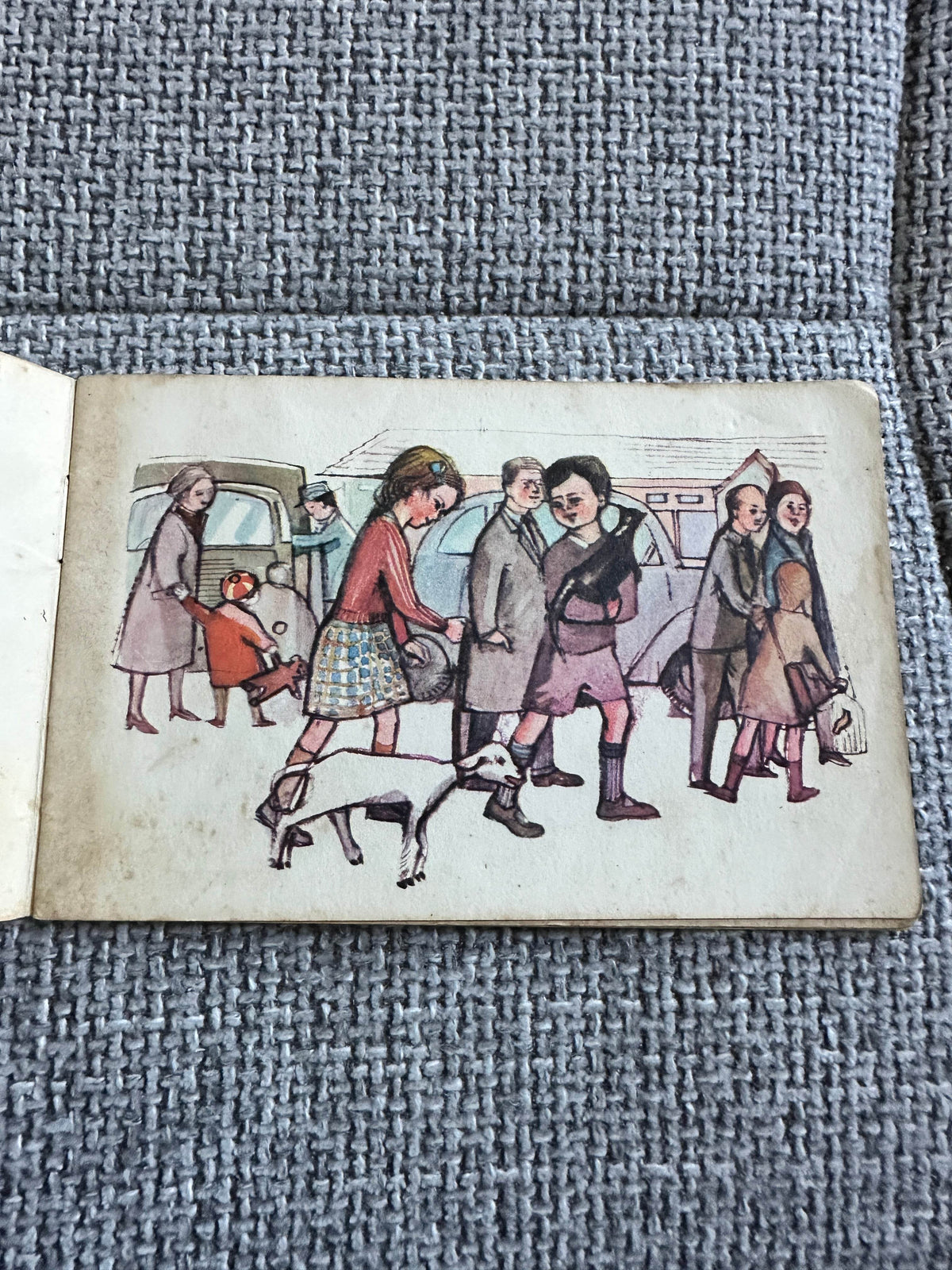 1960’s Ready To Read: The Pet Show -(Paul Olds Illust) Schools Publication Dpt Department of Education New Zealand - Honeyburn Books (UK)
