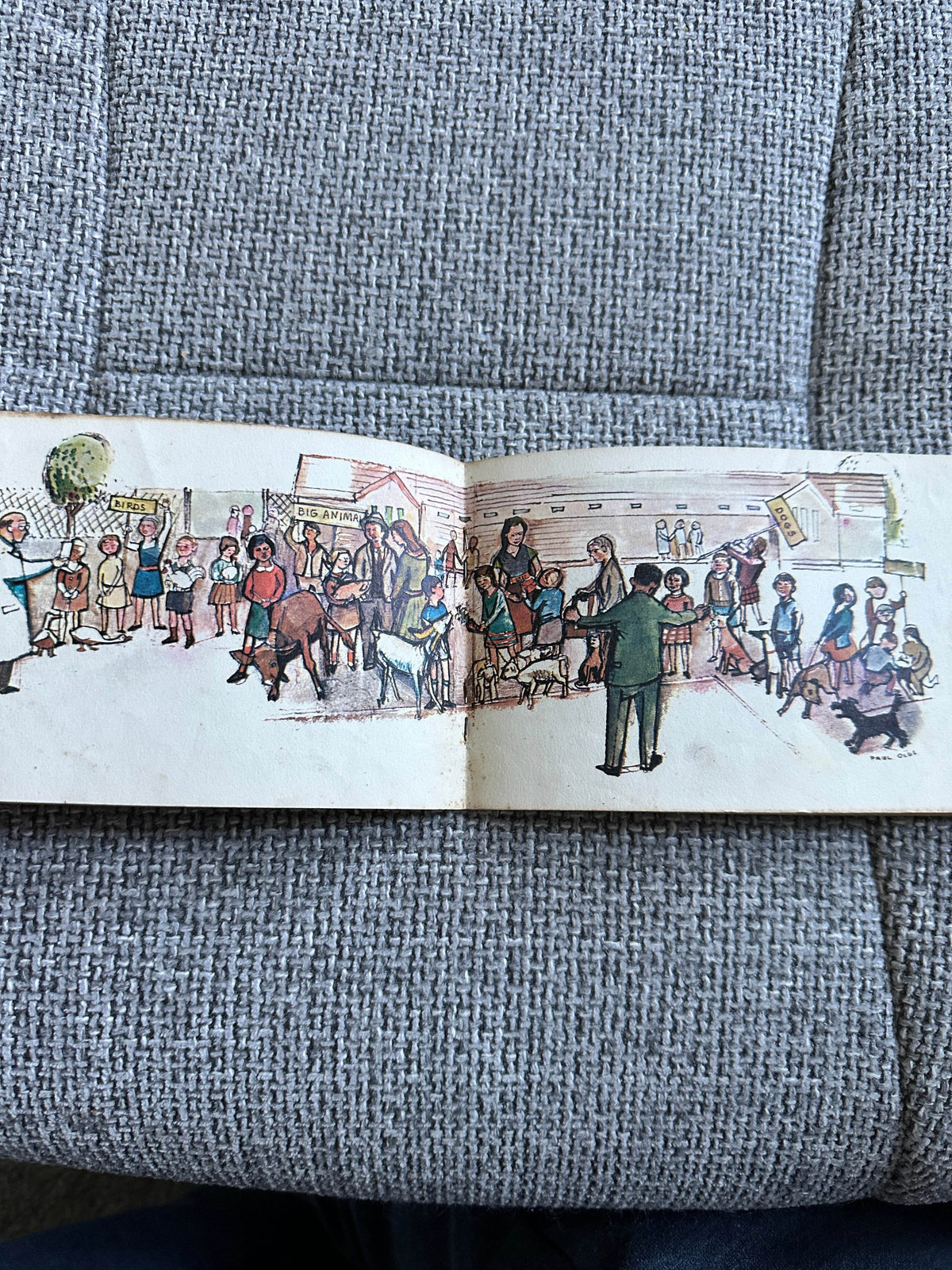 1960’s Ready To Read: The Pet Show -(Paul Olds Illust) Schools Publication Dpt Department of Education New Zealand - Honeyburn Books (UK)