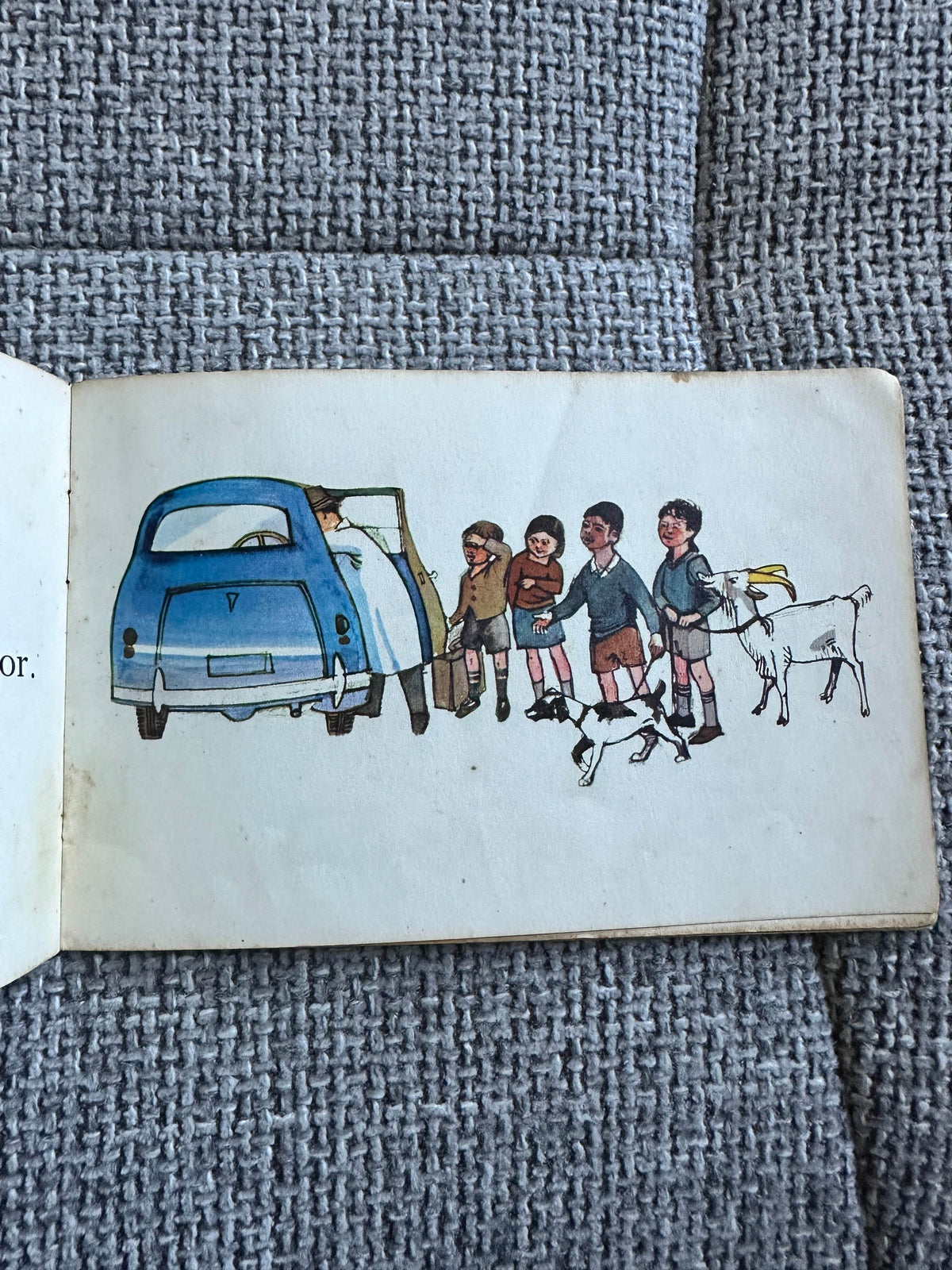 1960’s Ready To Read: The Pet Show -(Paul Olds Illust) Schools Publication Dpt Department of Education New Zealand - Honeyburn Books (UK)