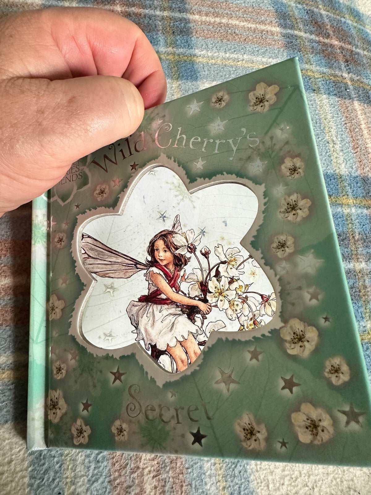 2004*1st* Wild Cherry’s Secret(Flower Fairies Friends) Cicely Mary Barker(Frederick Warne & Co Ltd - Honeyburn Books (UK)