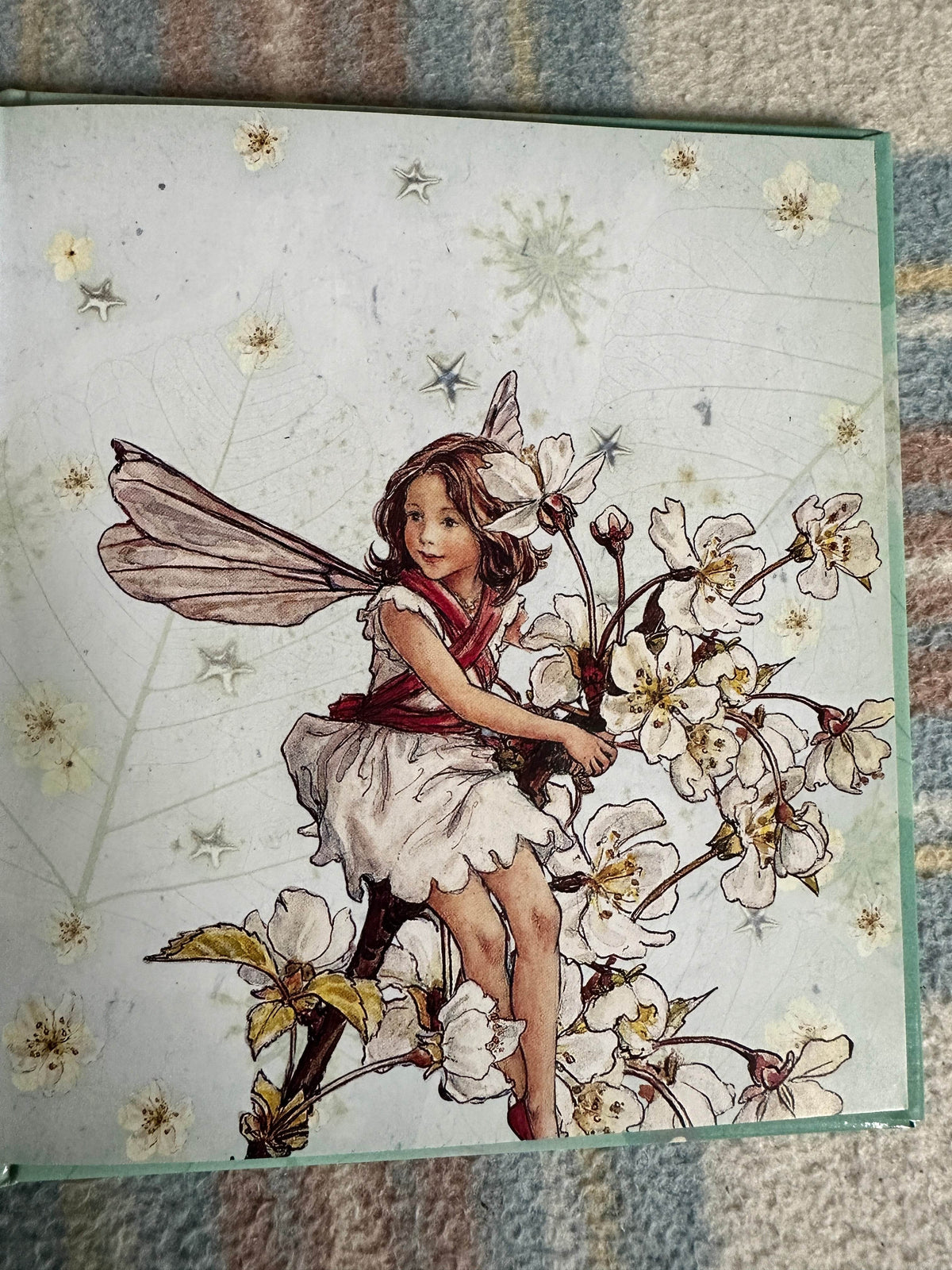 2004*1st* Wild Cherry’s Secret(Flower Fairies Friends) Cicely Mary Barker(Frederick Warne & Co Ltd - Honeyburn Books (UK)