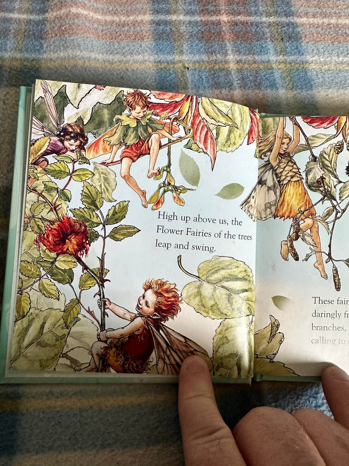 2004*1st* Wild Cherry’s Secret(Flower Fairies Friends) Cicely Mary Barker(Frederick Warne & Co Ltd - Honeyburn Books (UK)