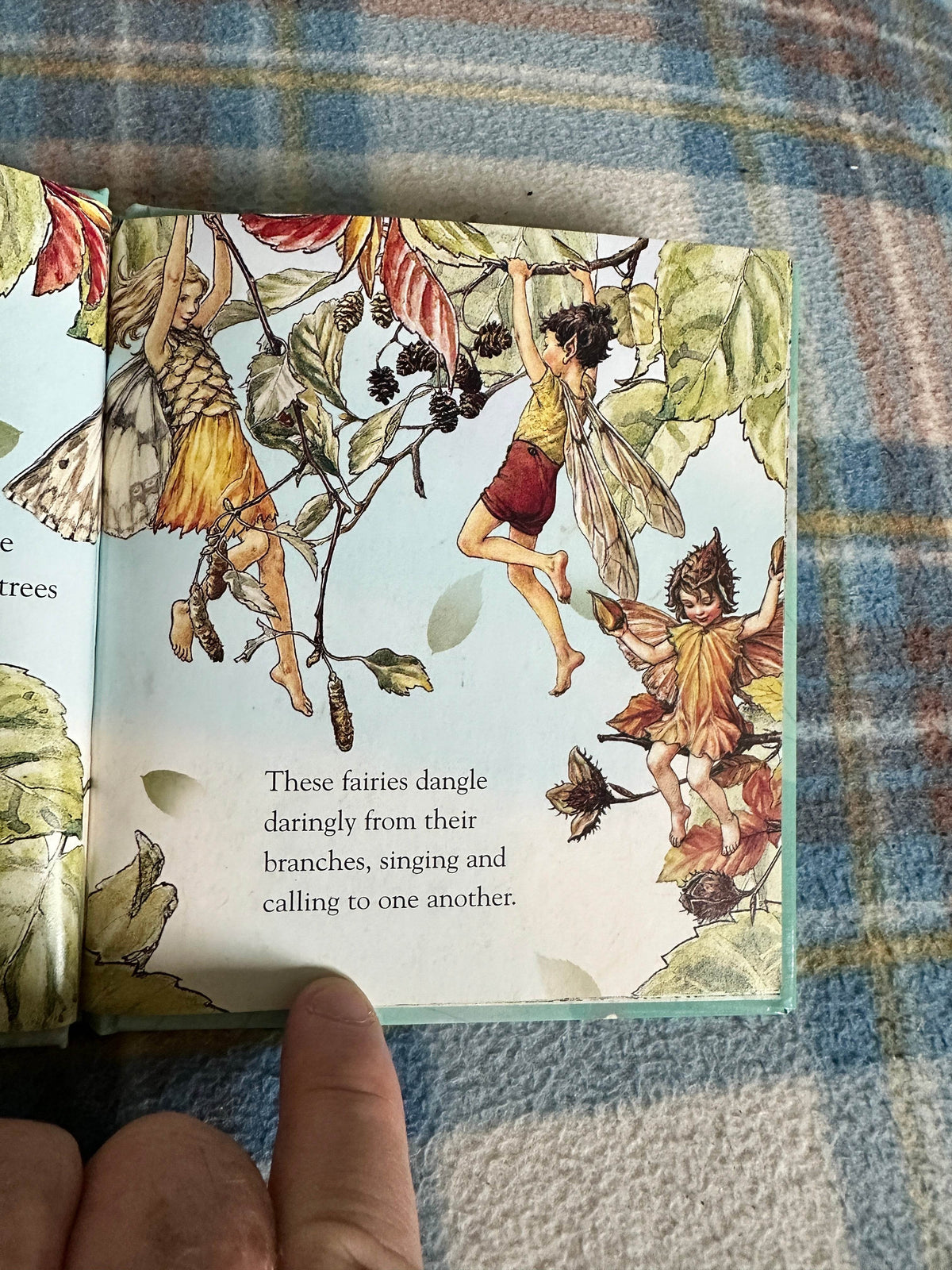 2004*1st* Wild Cherry’s Secret(Flower Fairies Friends) Cicely Mary Barker(Frederick Warne & Co Ltd - Honeyburn Books (UK)