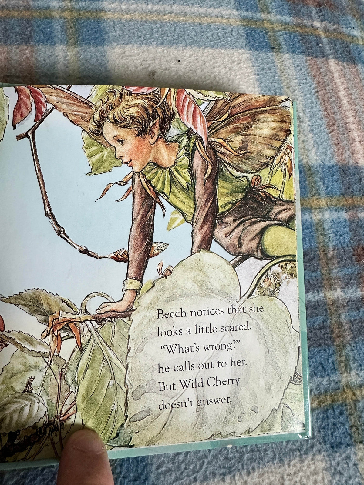 2004*1st* Wild Cherry’s Secret(Flower Fairies Friends) Cicely Mary Barker(Frederick Warne & Co Ltd - Honeyburn Books (UK)