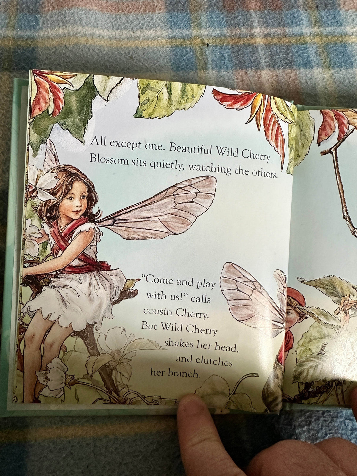 2004*1st* Wild Cherry’s Secret(Flower Fairies Friends) Cicely Mary Barker(Frederick Warne & Co Ltd - Honeyburn Books (UK)