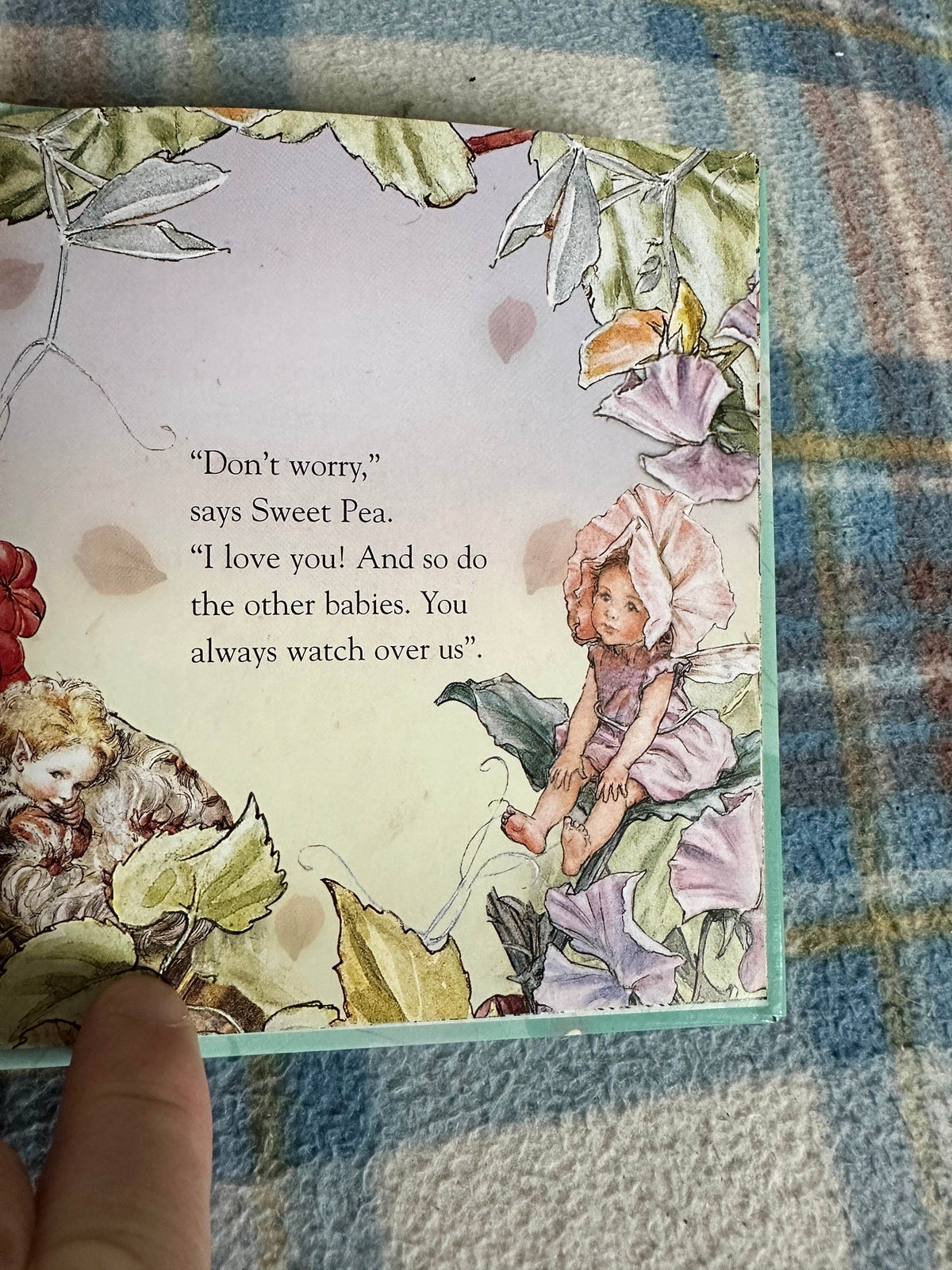 2004*1st* Wild Cherry’s Secret(Flower Fairies Friends) Cicely Mary Barker(Frederick Warne & Co Ltd - Honeyburn Books (UK)