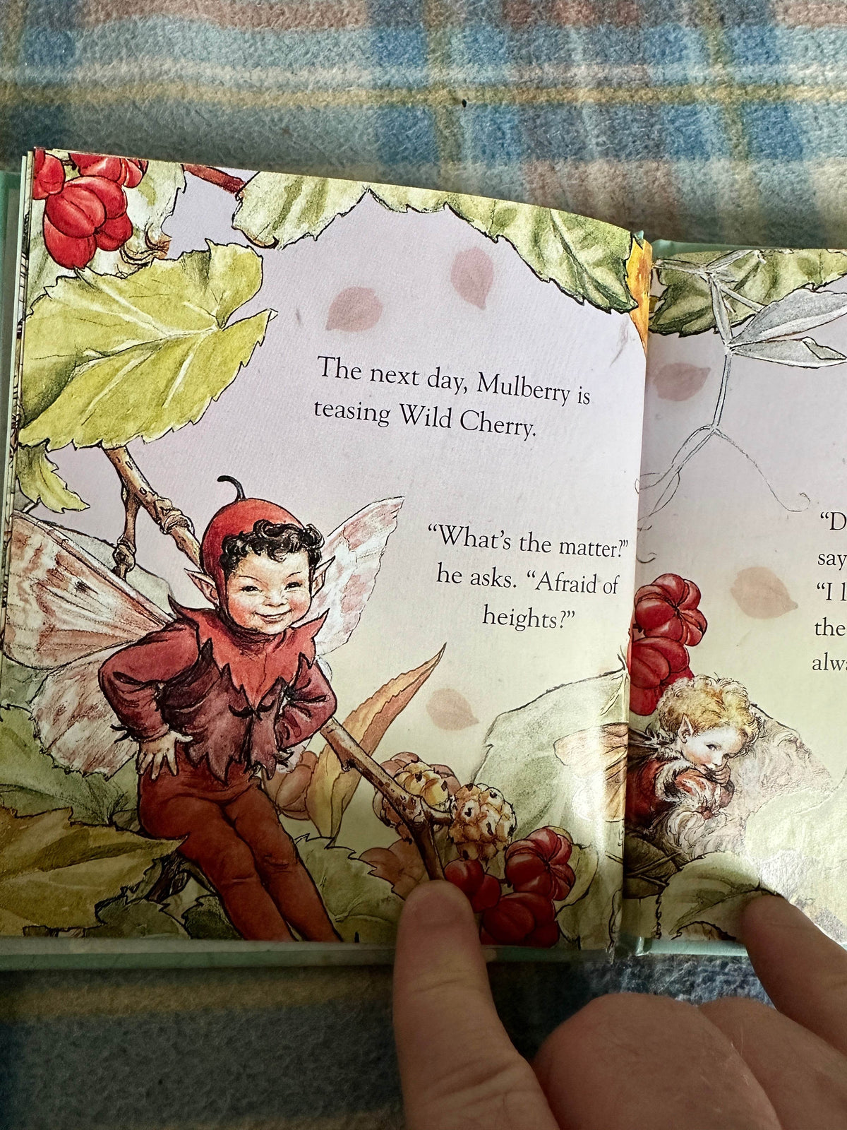 2004*1st* Wild Cherry’s Secret(Flower Fairies Friends) Cicely Mary Barker(Frederick Warne & Co Ltd - Honeyburn Books (UK)