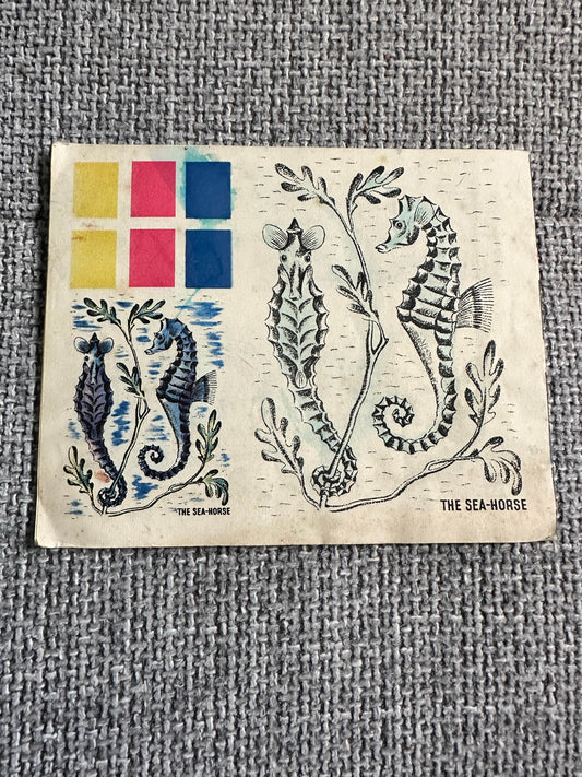 1950’s Colourix Painting Book(Fish Studies) Collins Adprint - Honeyburn Books (UK)