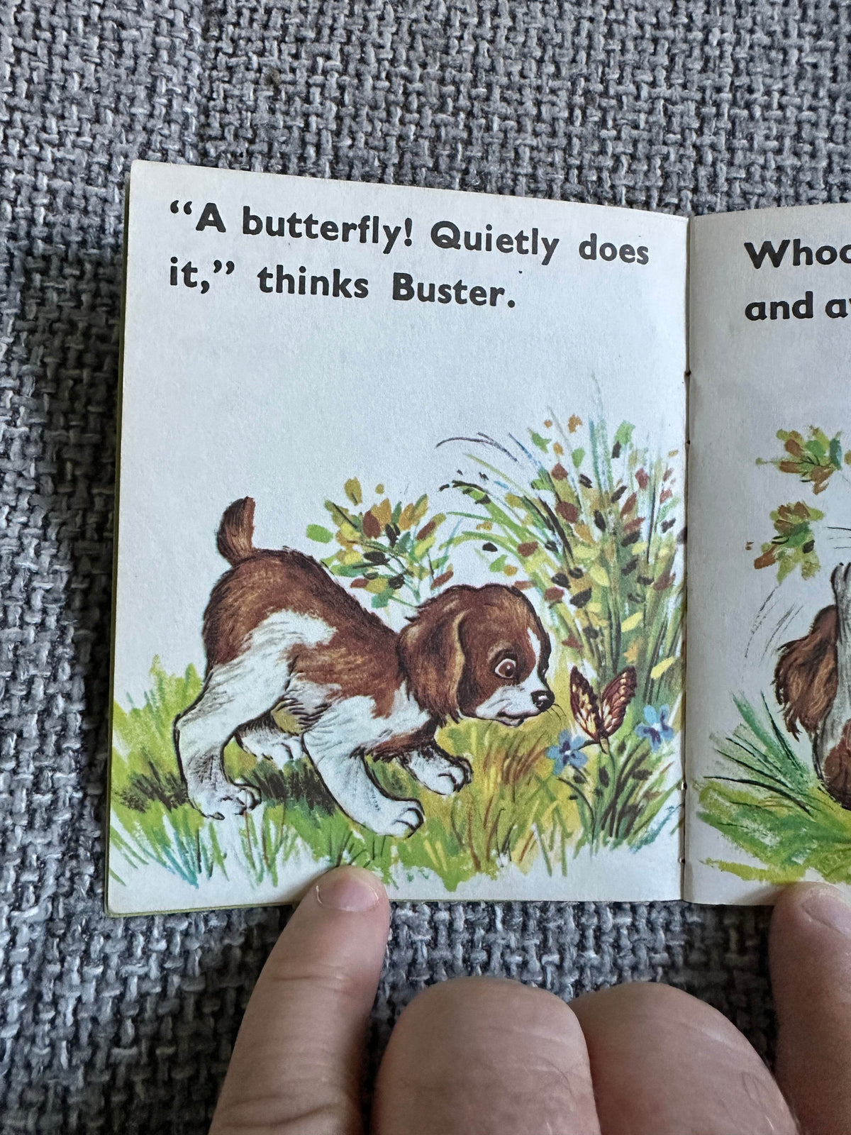 1950’s Buster’s Capers (Elfin Series) Litor Publishing printed in Sweden - Honeyburn Books (UK)