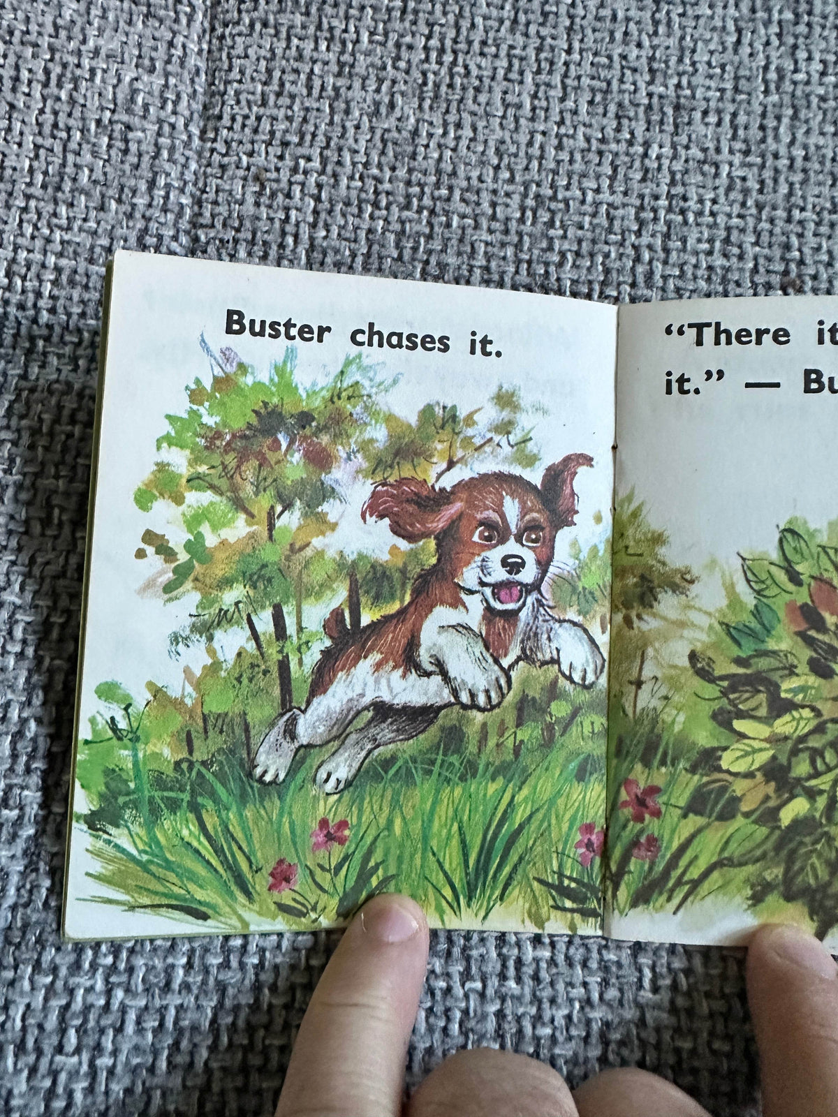 1950’s Buster’s Capers (Elfin Series) Litor Publishing printed in Sweden - Honeyburn Books (UK)