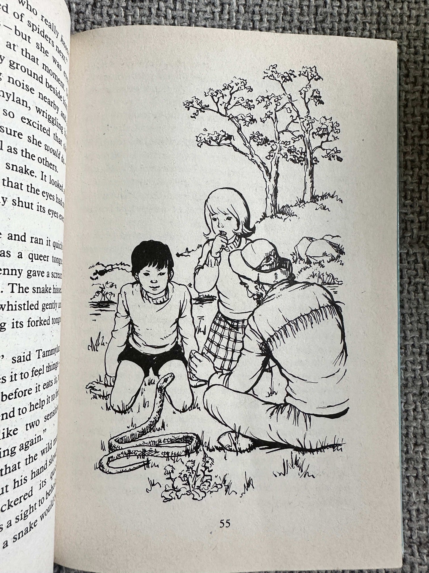 1972 The Children Of Cherry-Tree Farm - Enid Blyton ( Dean & Son) - Honeyburn Books (UK)