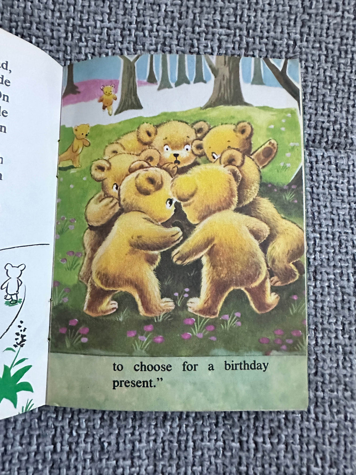 1967 Bobbys Birthday (Fluffy Books)Trudi Coté(Illust Huub Slabbers)Wonderland Amsterdam - Honeyburn Books (UK)