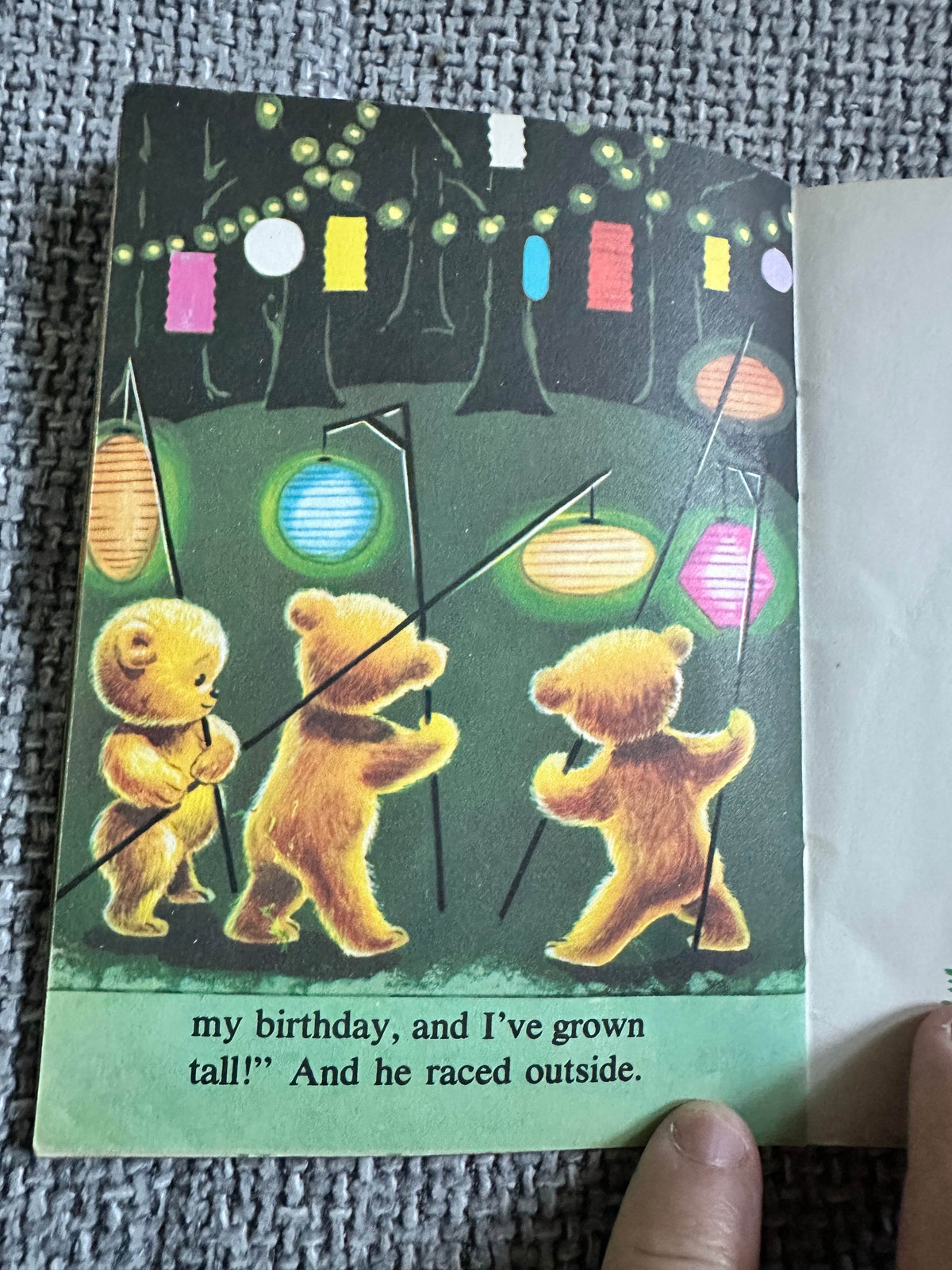 1967 Bobbys Birthday (Fluffy Books)Trudi Coté(Illust Huub Slabbers)Wonderland Amsterdam - Honeyburn Books (UK)