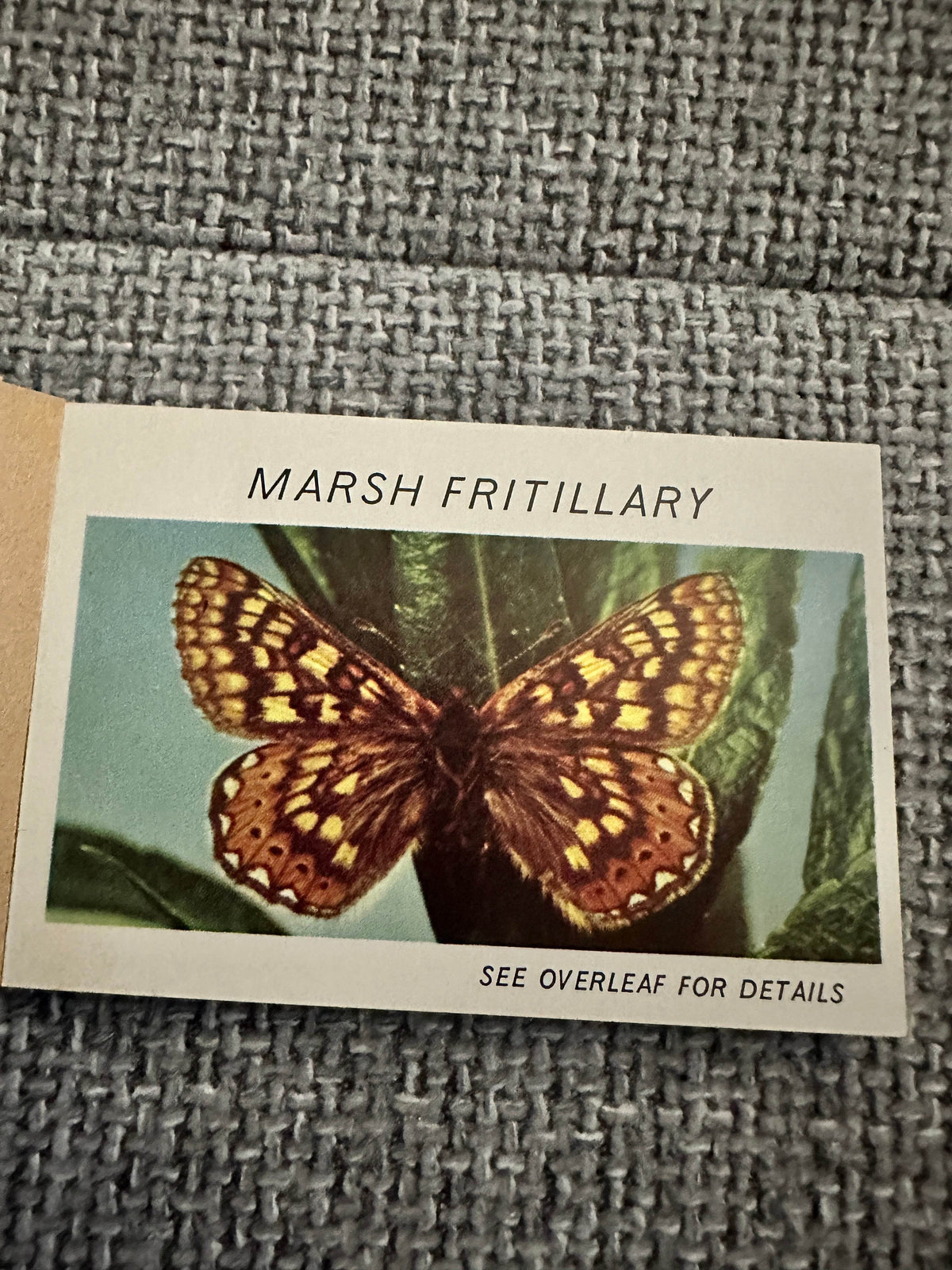 1960’s Butterflies & Moths(Part 3) Pocket Library No23 - Maxwell Knight - Honeyburn Books (UK)