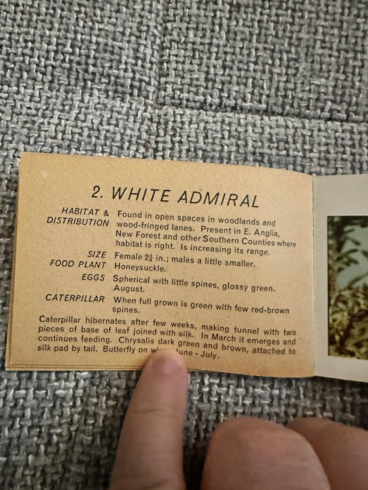 1960’s Butterflies & Moths(Part 3) Pocket Library No23 - Maxwell Knight - Honeyburn Books (UK)