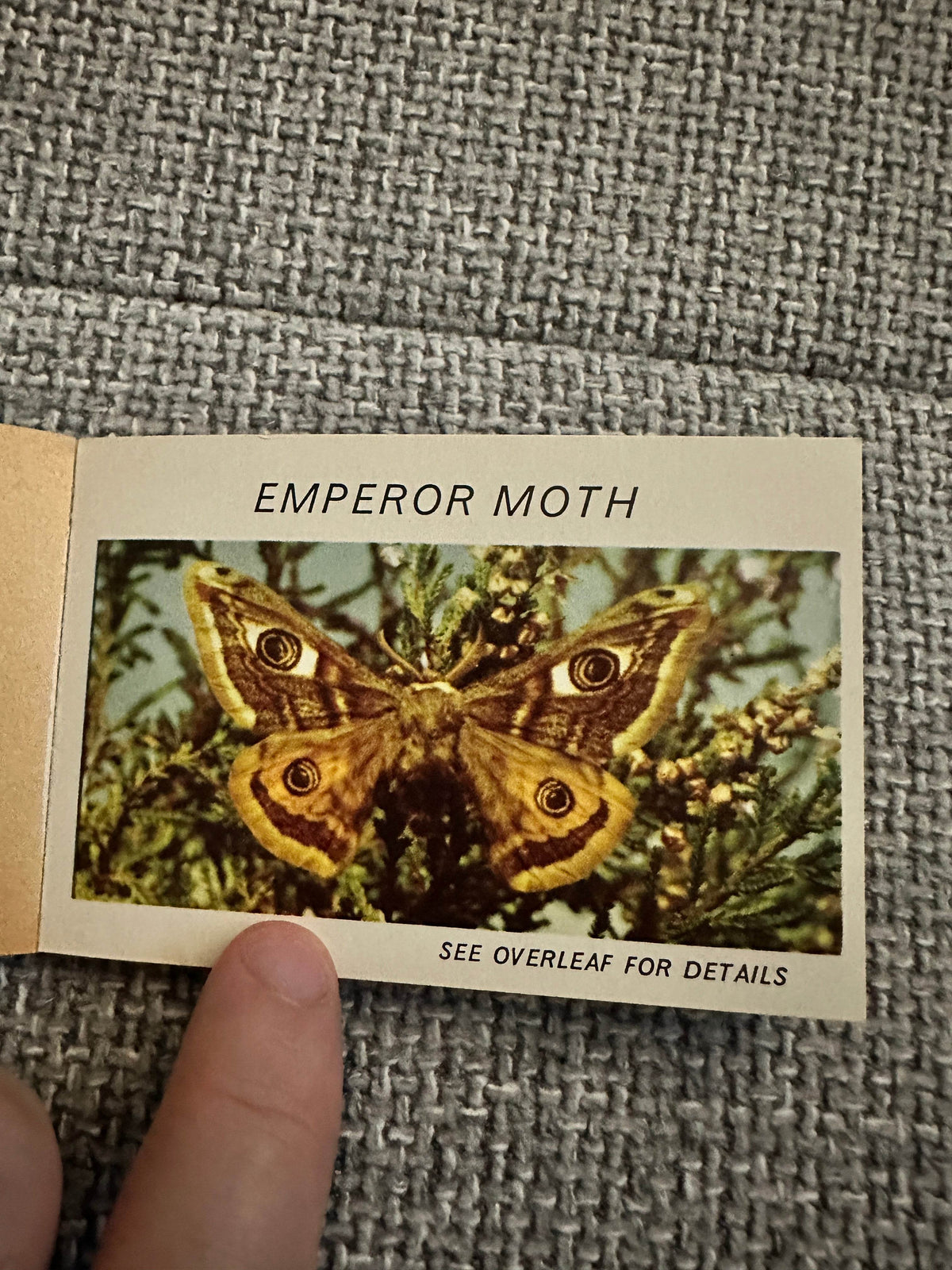 1960’s Butterflies & Moths(Part 3) Pocket Library No23 - Maxwell Knight - Honeyburn Books (UK)