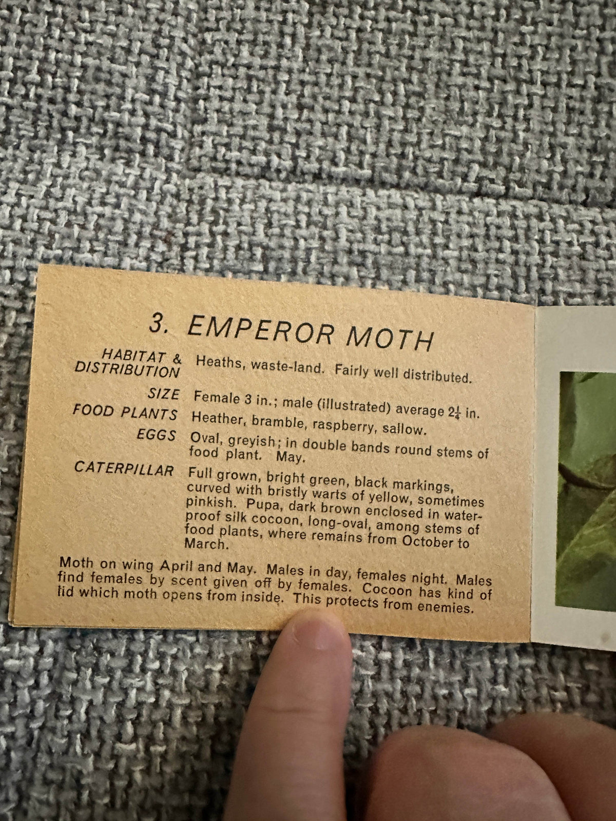 1960’s Butterflies & Moths(Part 3) Pocket Library No23 - Maxwell Knight - Honeyburn Books (UK)