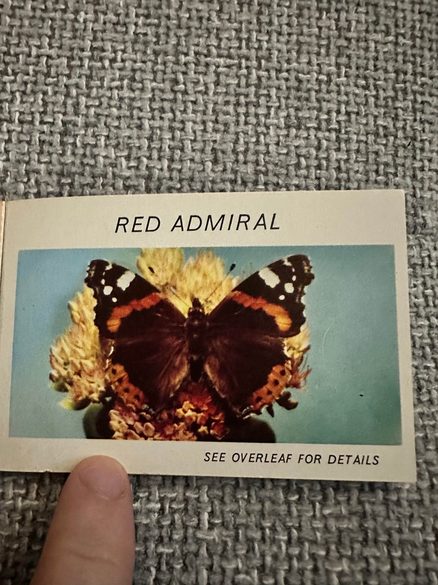 1960’s Butterflies & Moths(Part 3) Pocket Library No23 - Maxwell Knight - Honeyburn Books (UK)